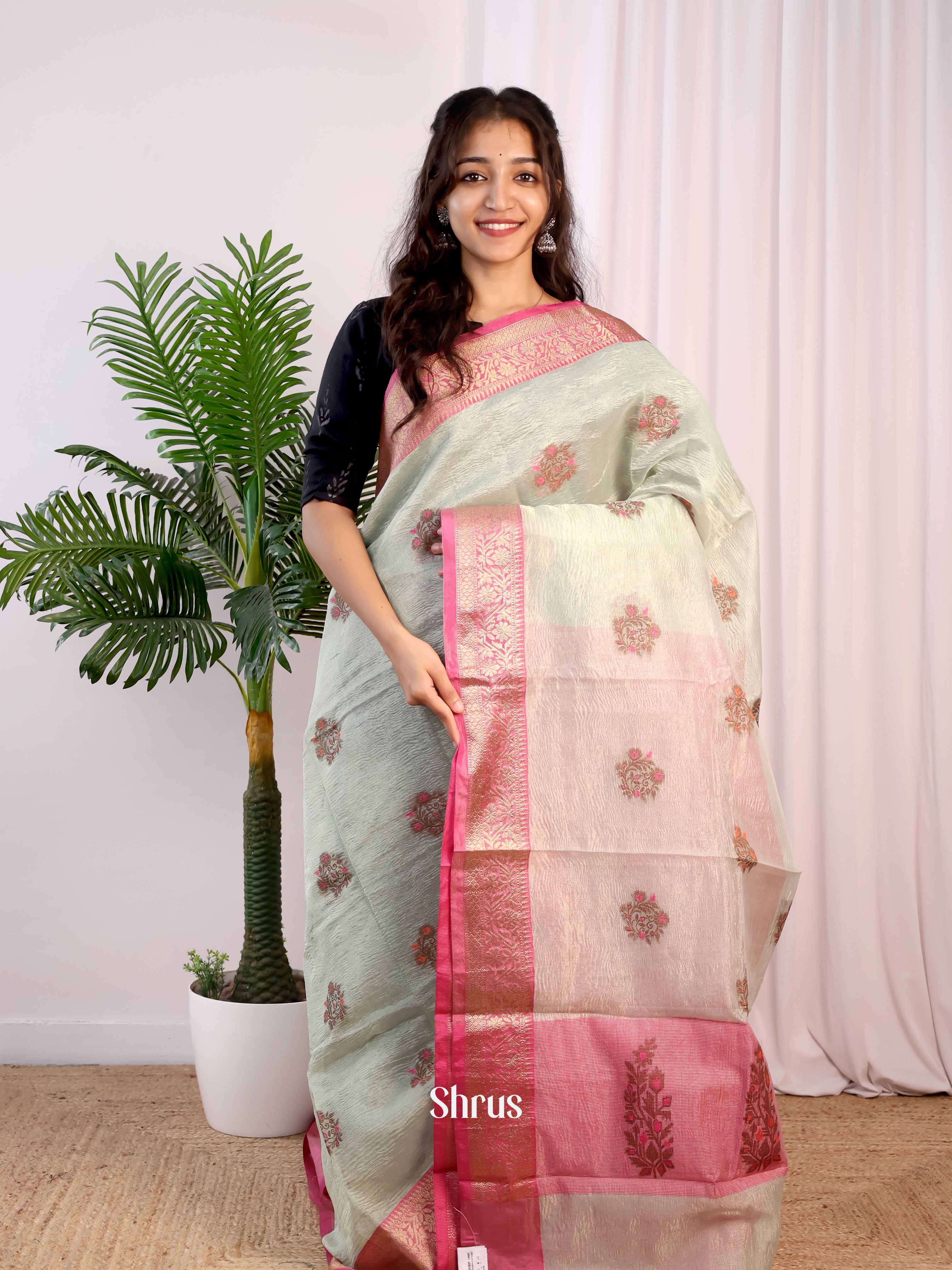 CIS24190 - Tissue Banarasi Saree