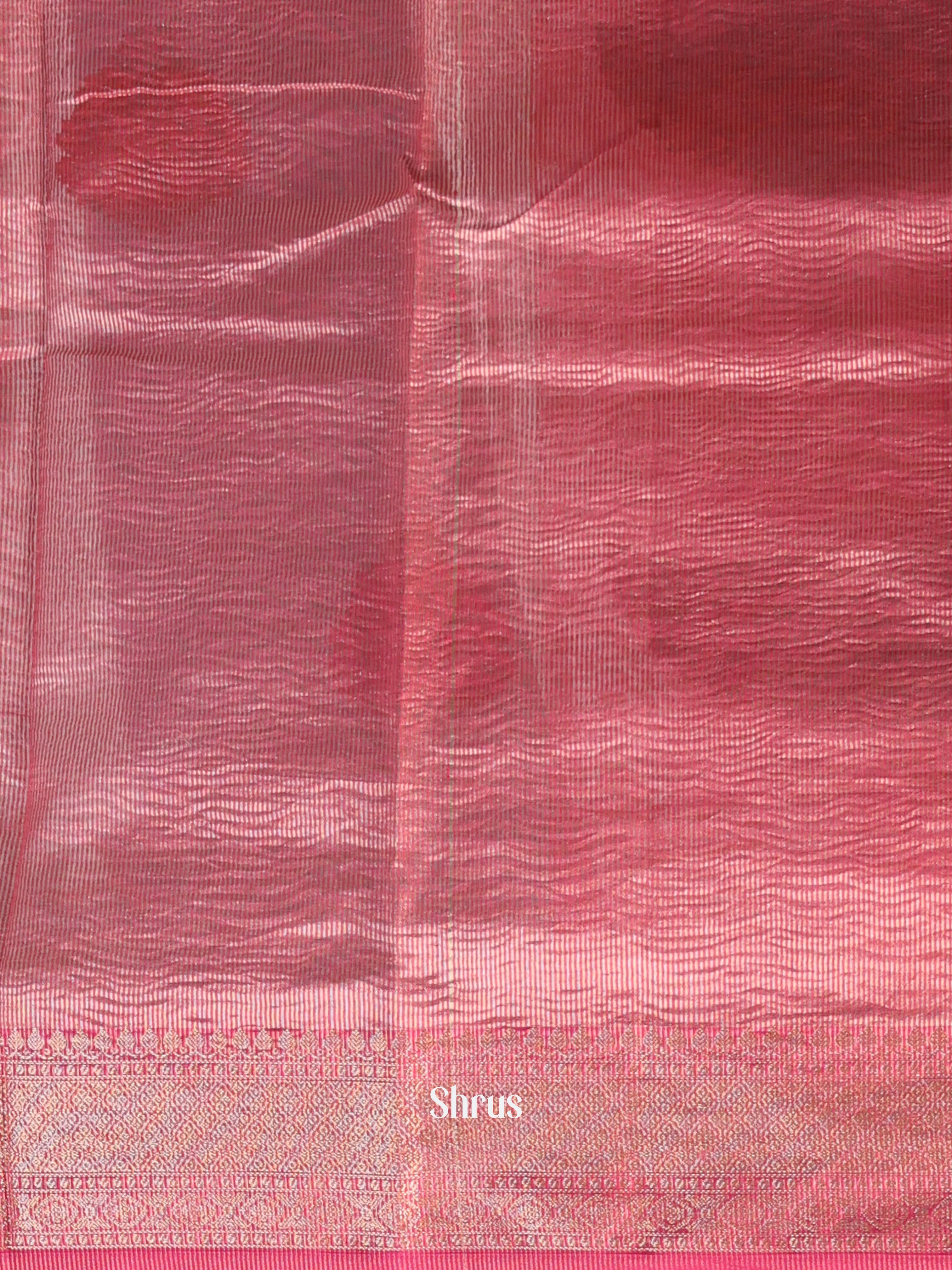 CIS24197 - Tissue Banarasi Saree