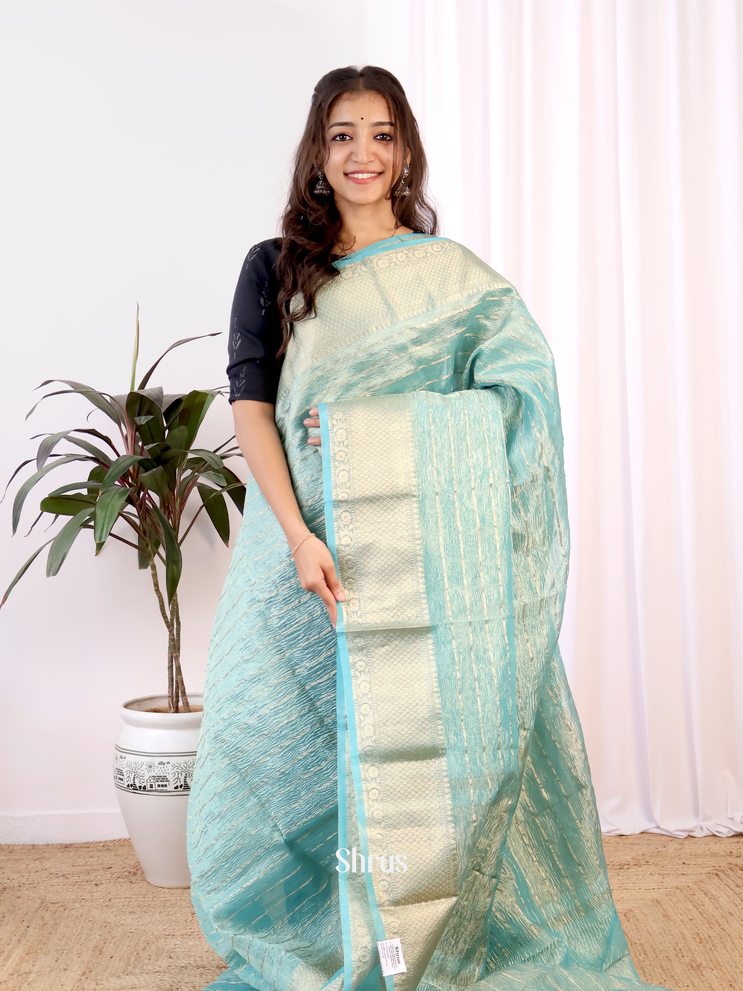 CIS24202 - Bamboo silk Saree