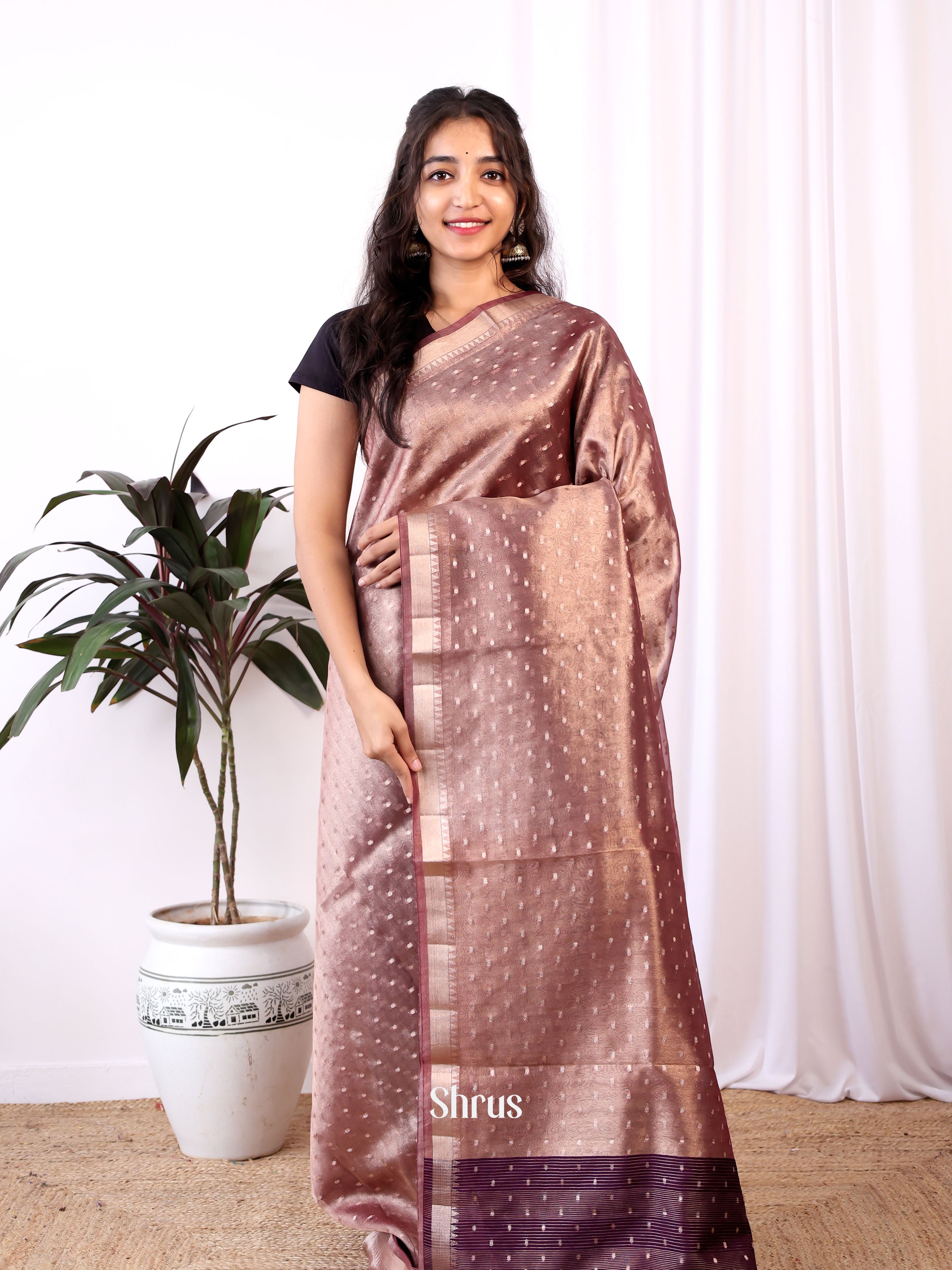 Brown - Semi Organza Saree