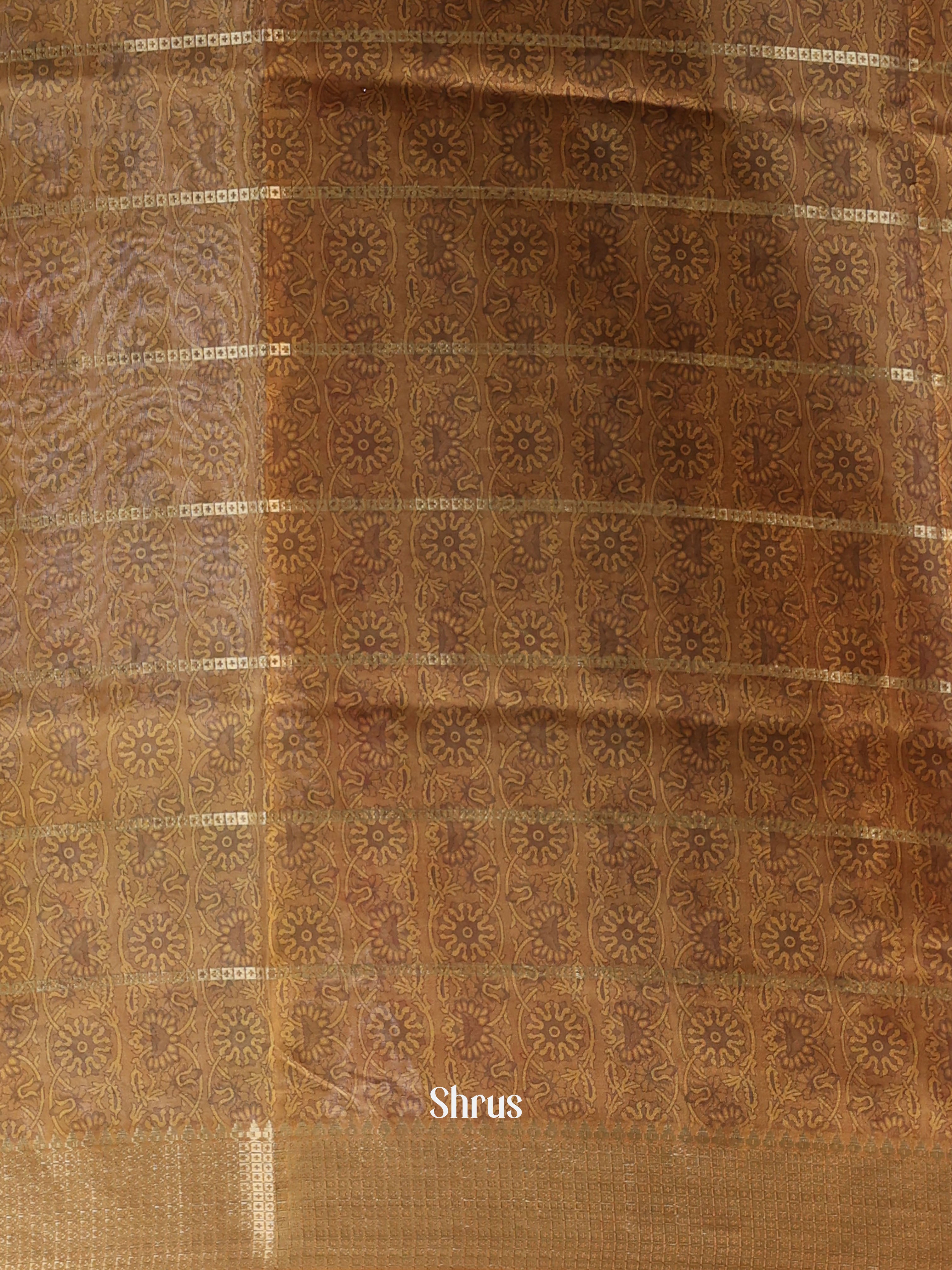 Golden Brown  - Semi Dola silk Saree