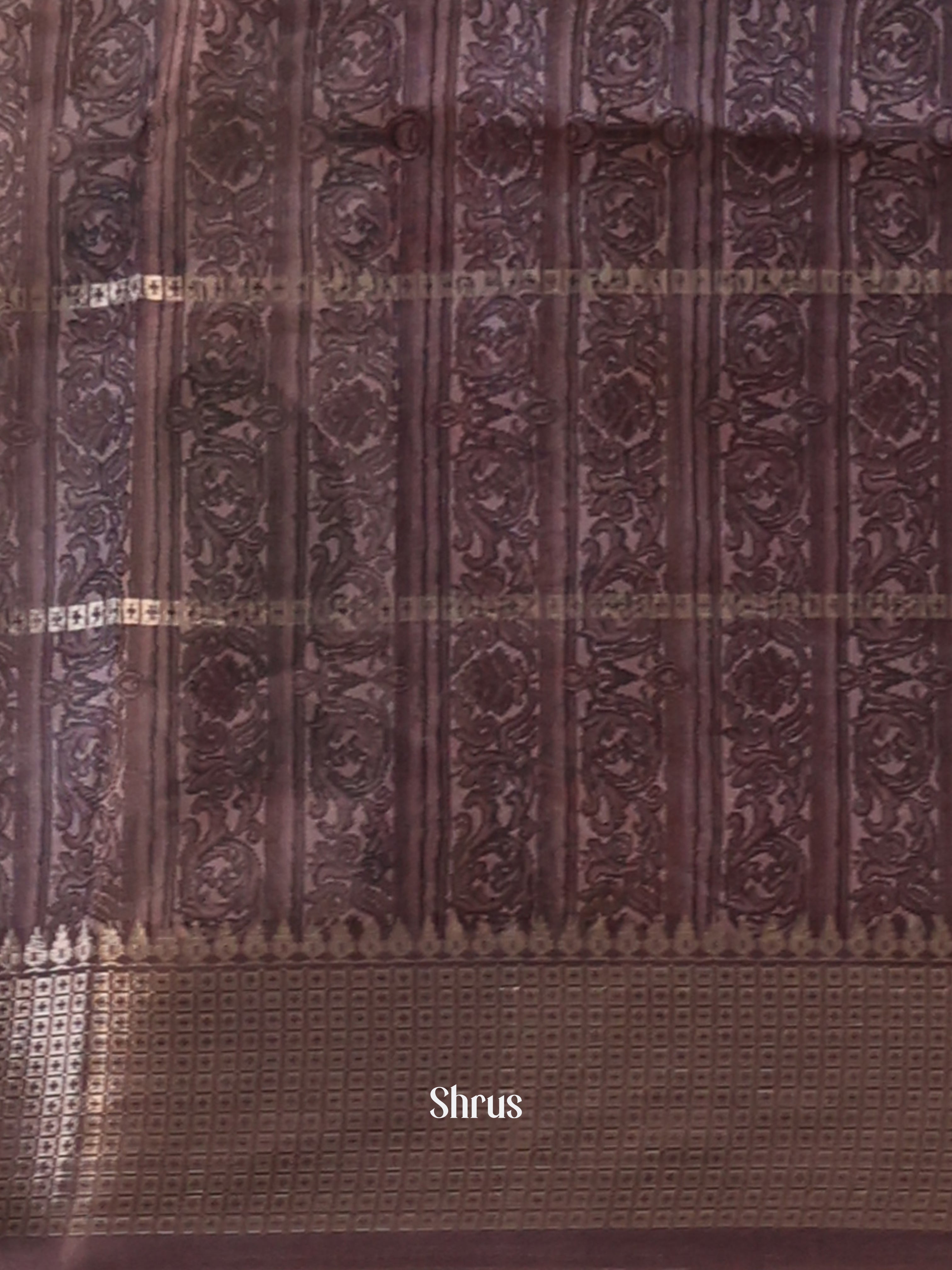 Cream & Brown  - Semi Dola silk Saree