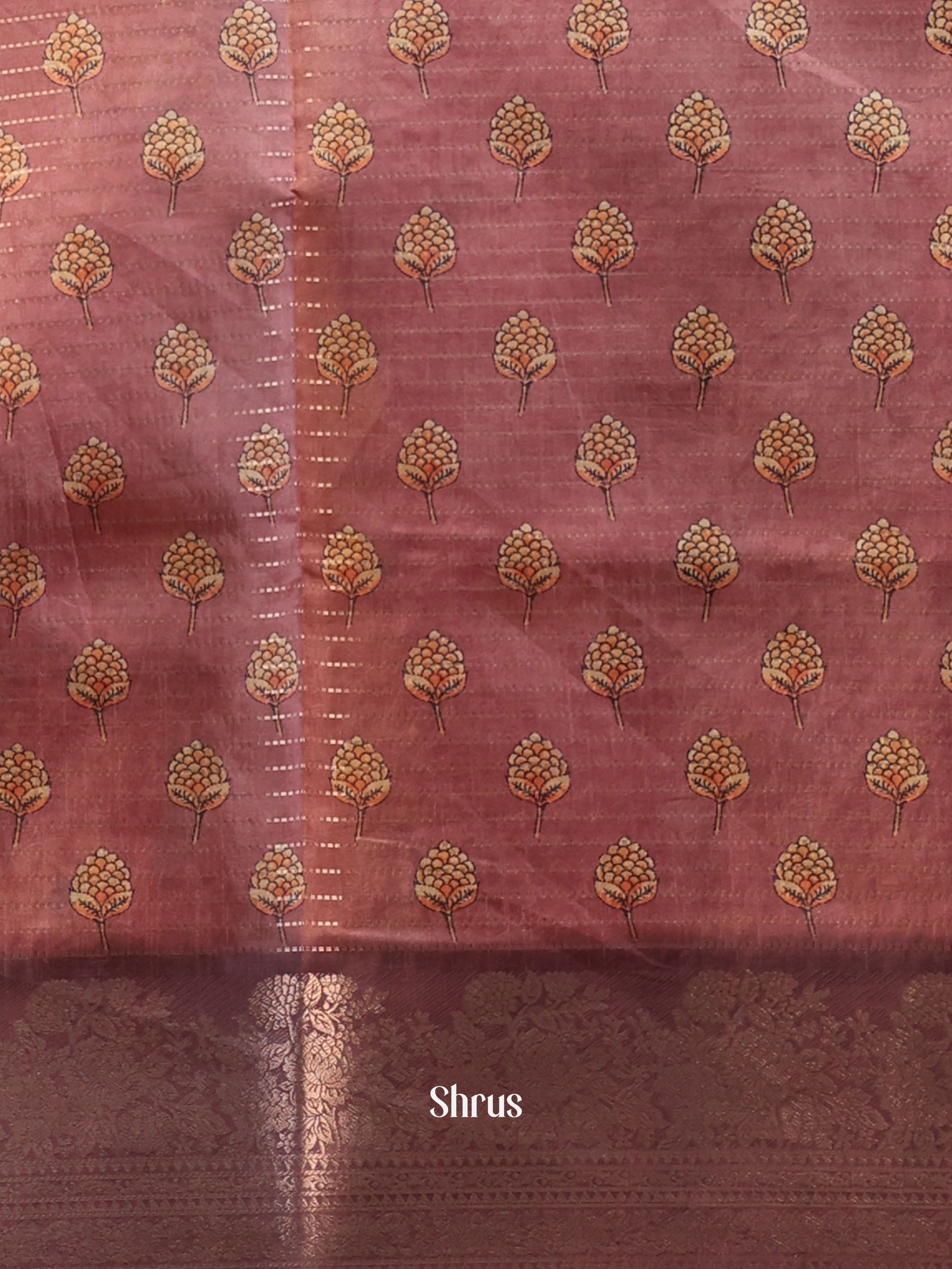 Brown - Semi Dola silk Saree