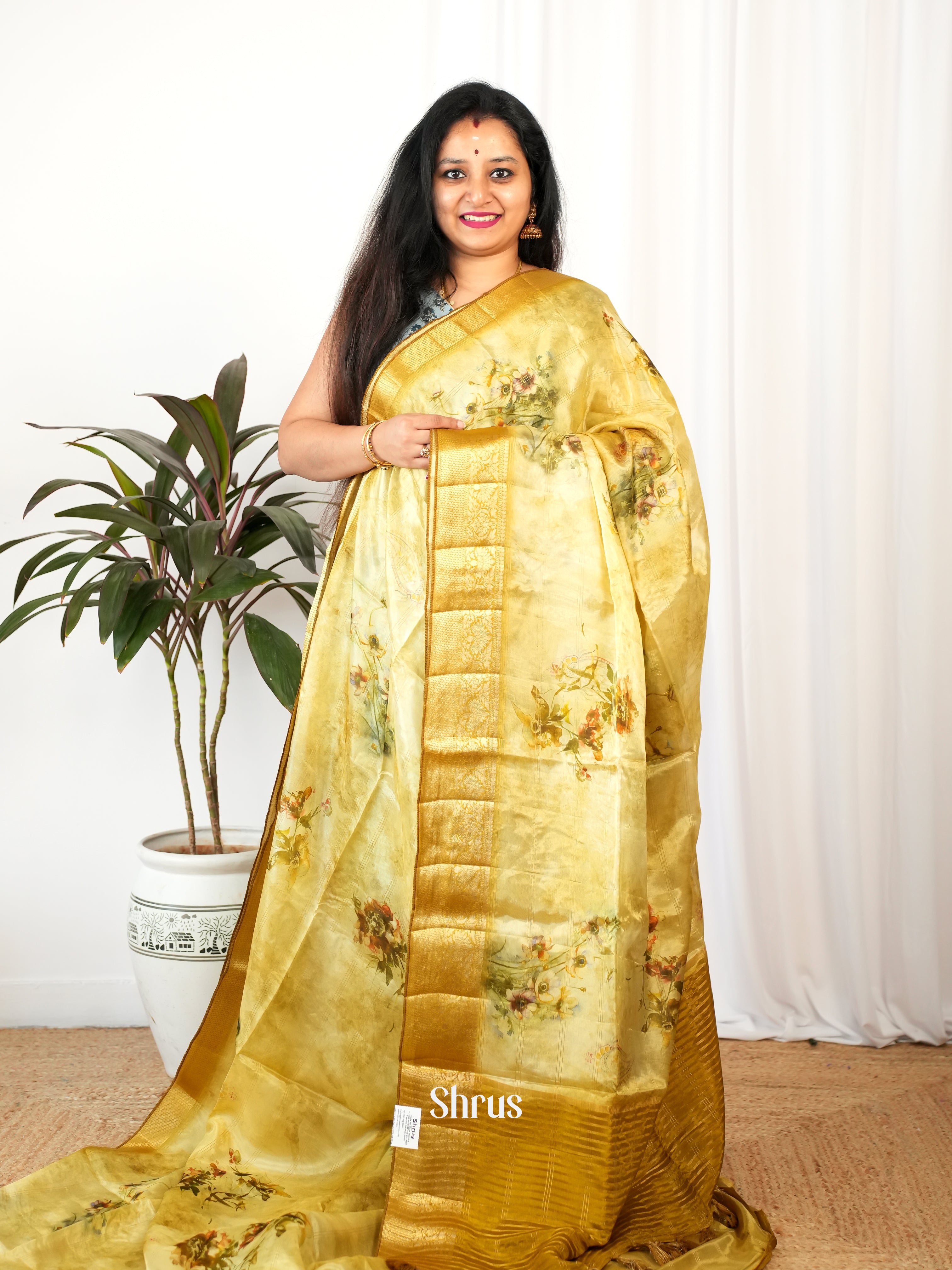 CIS26272 - Printed chanderi Saree