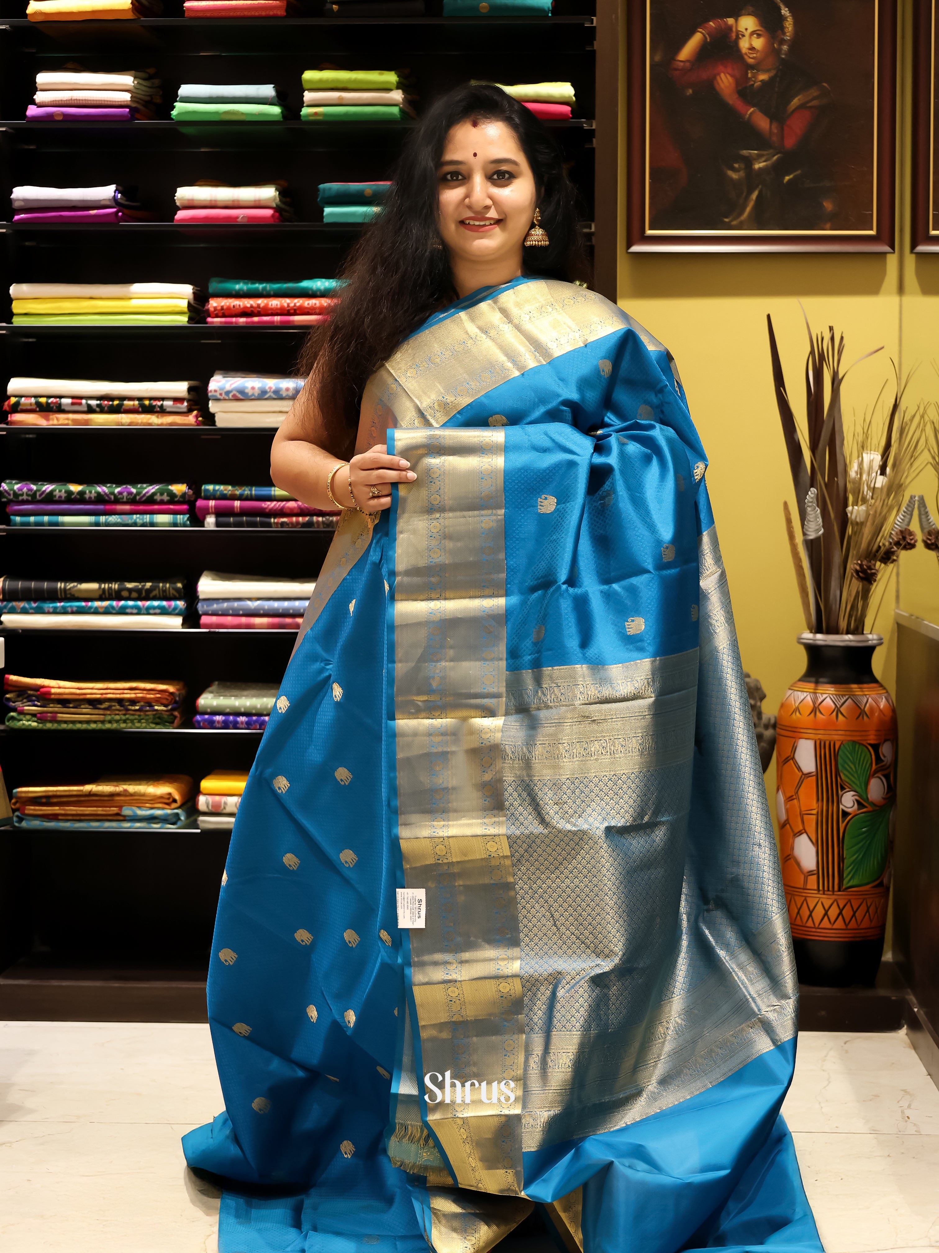 Blue(Single Tone) - Kanchipuram silk Saree