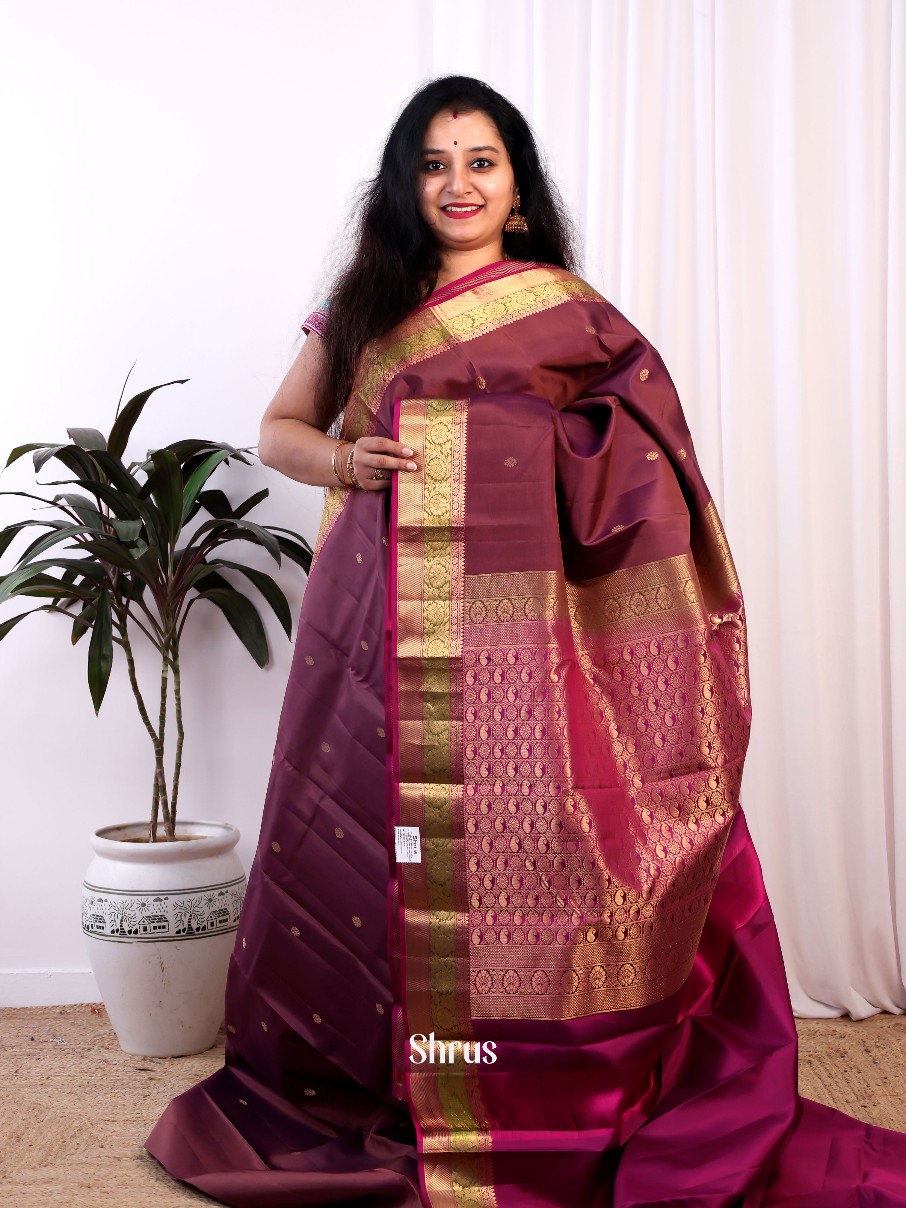 Brown & Purple - Kanchipuram silk Saree