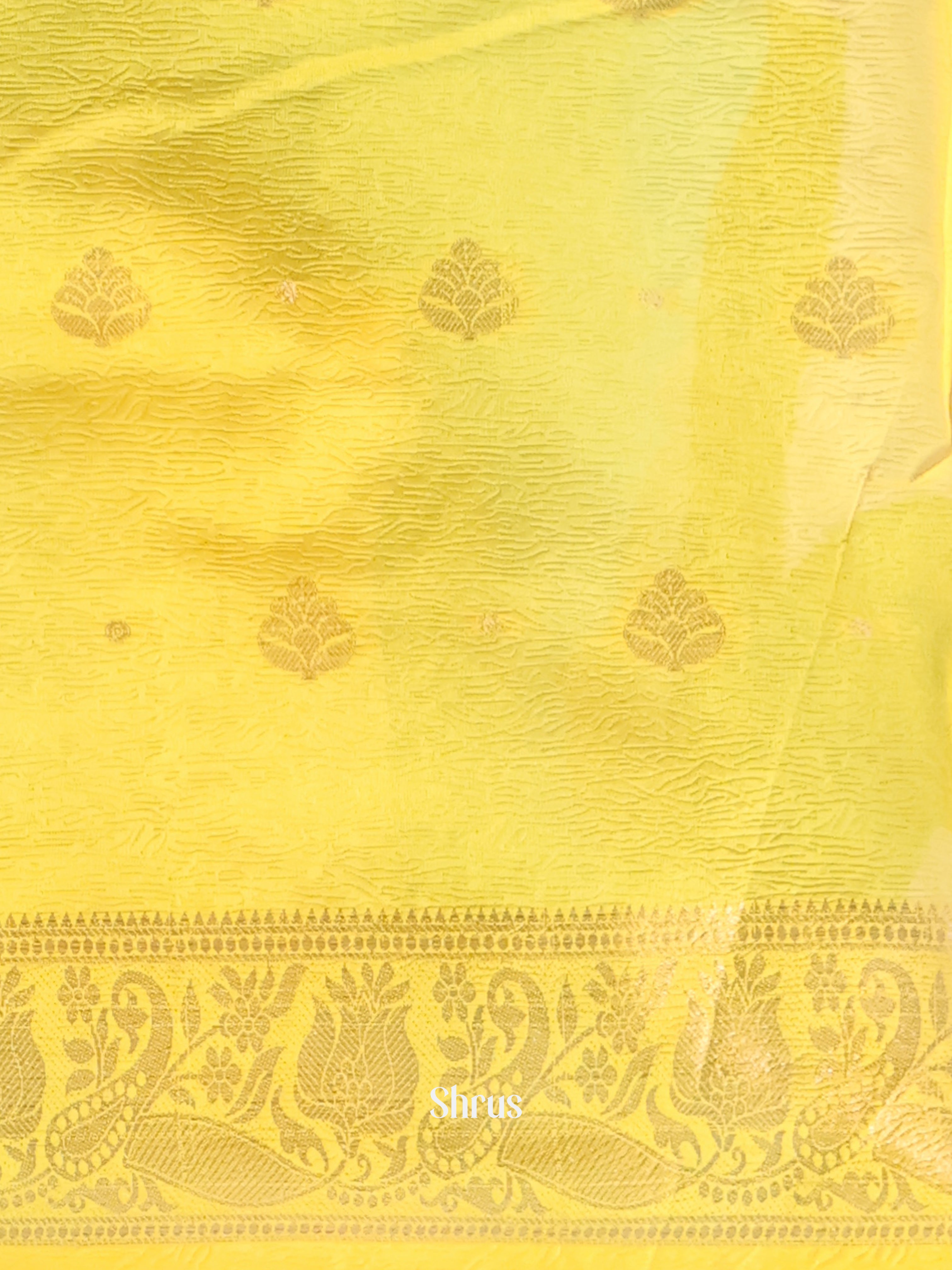 CIS28479 - Bamboo silk Saree