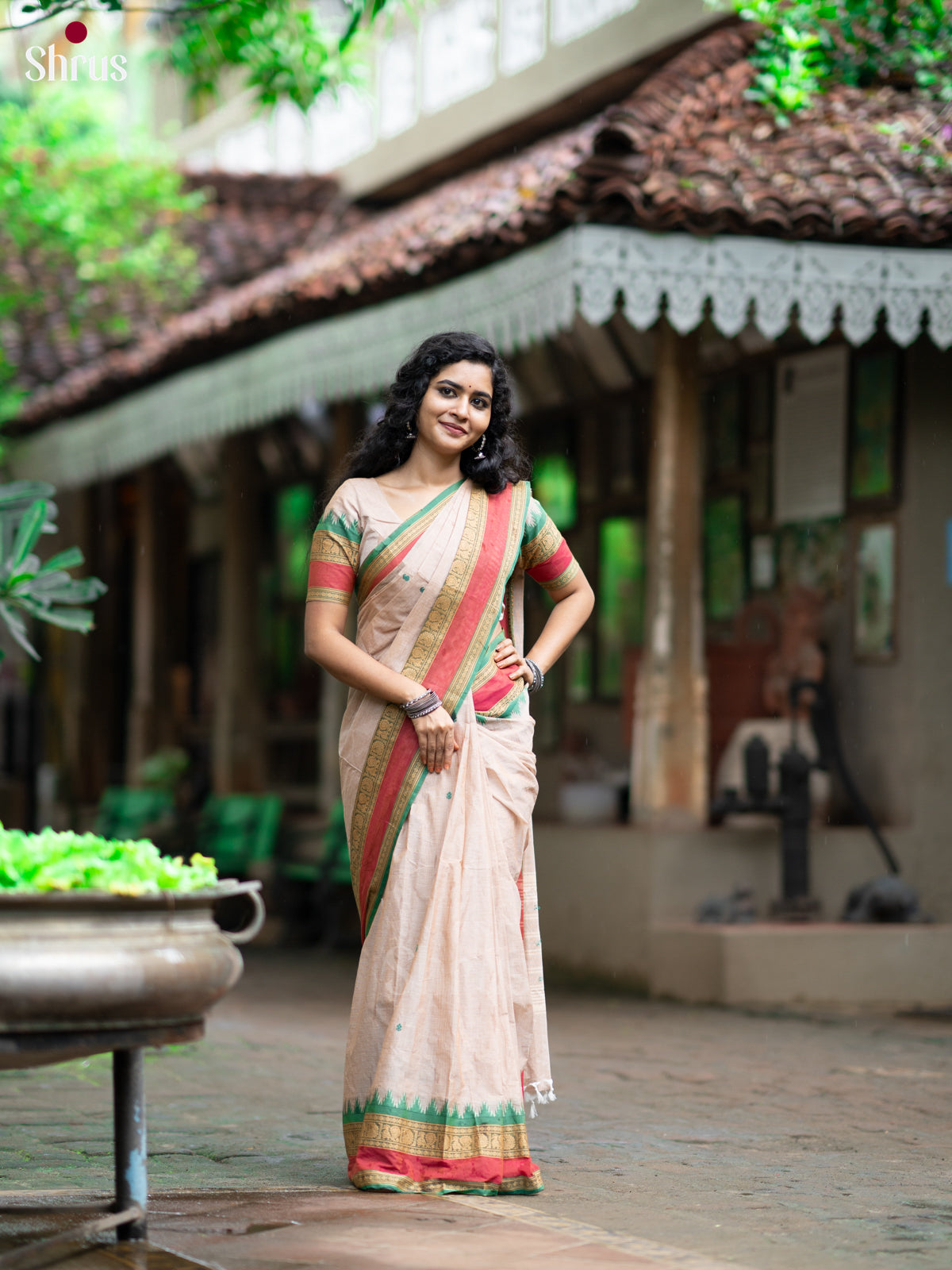 Grey & Green - Chettinad Cotton Saree