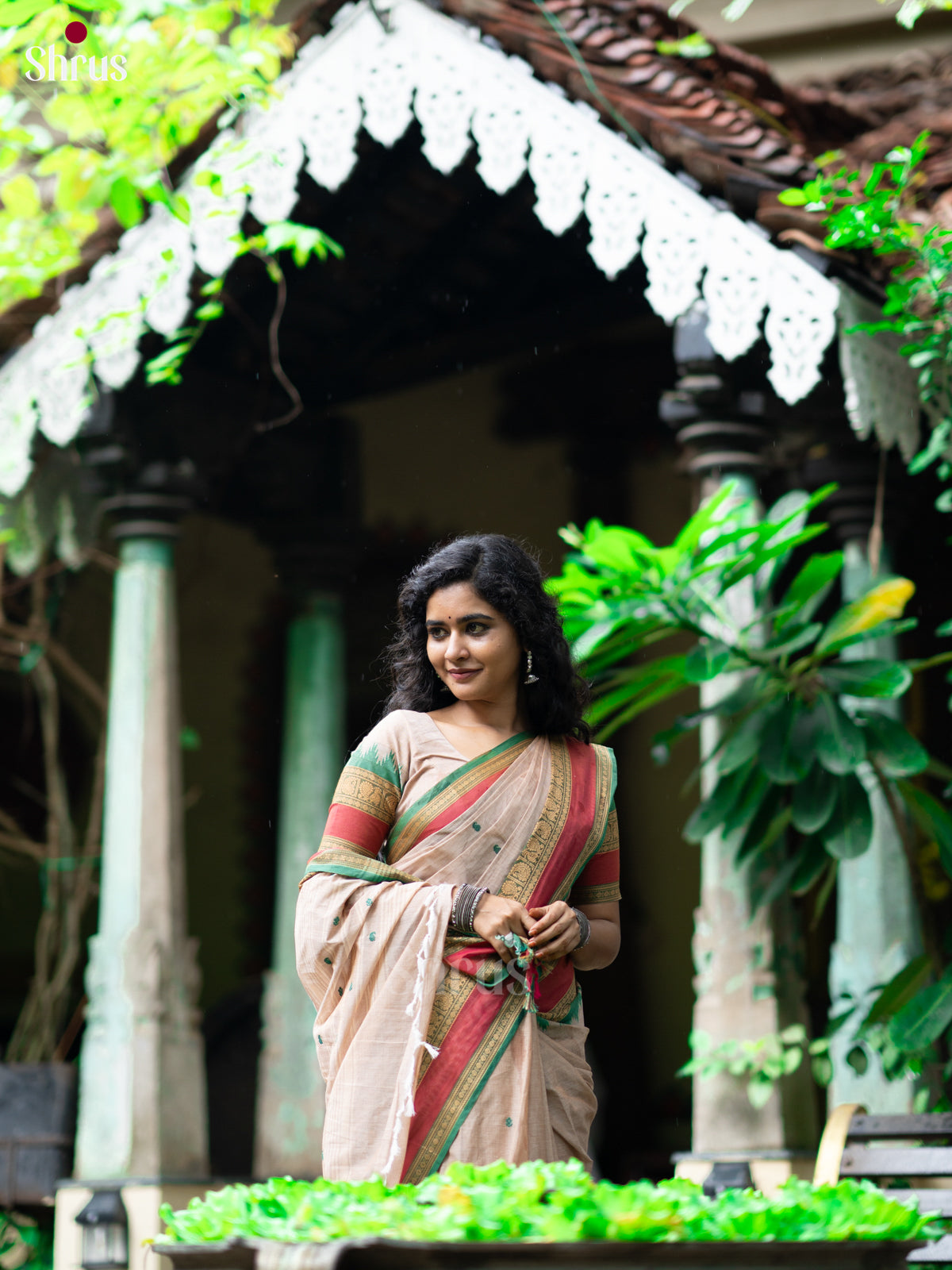 Grey & Green - Chettinad Cotton Saree