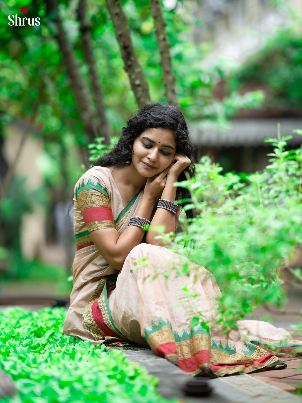 Grey & Green - Chettinad Cotton Saree