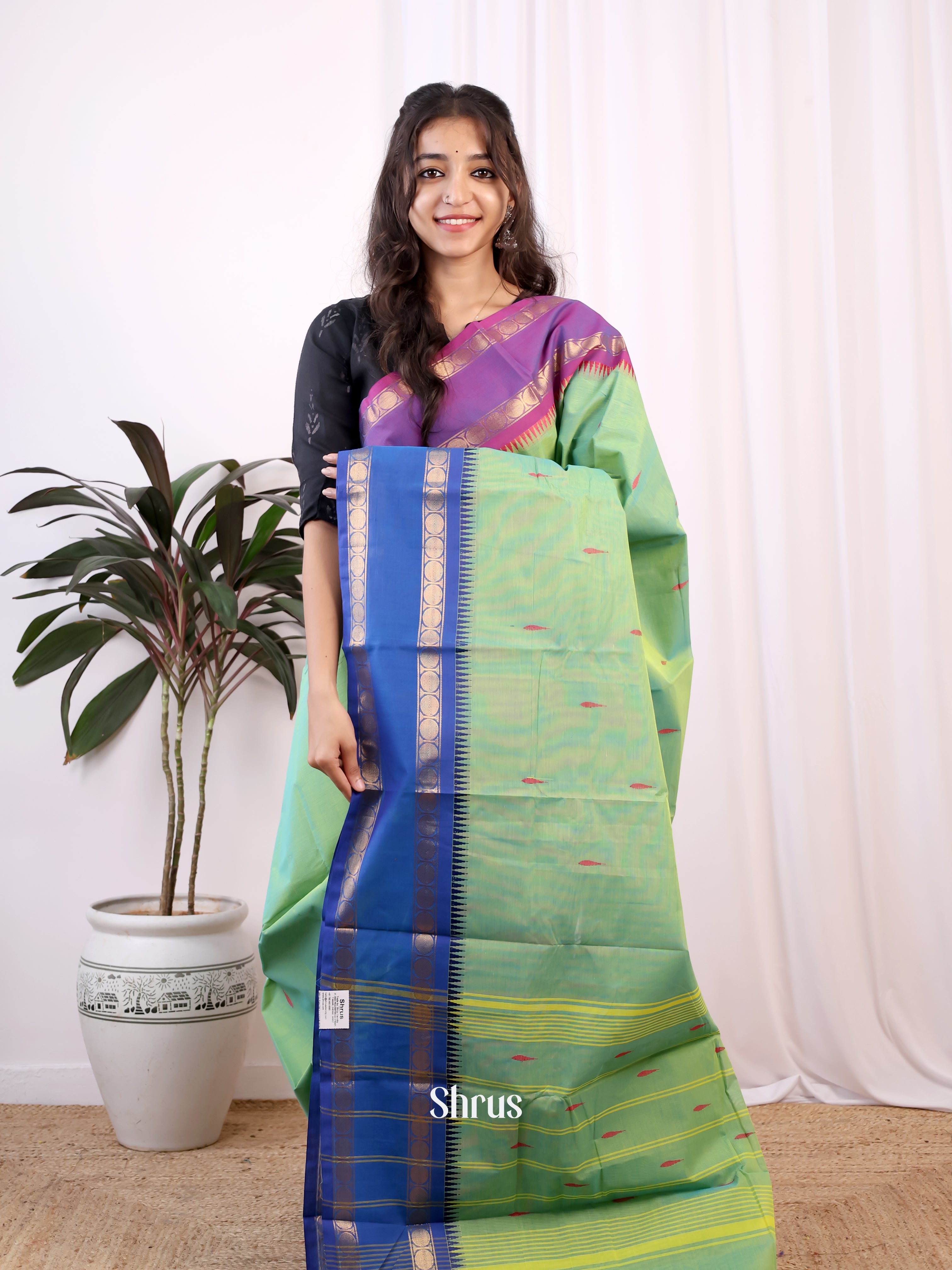 Green & Blue - Chettinad Cotton Saree