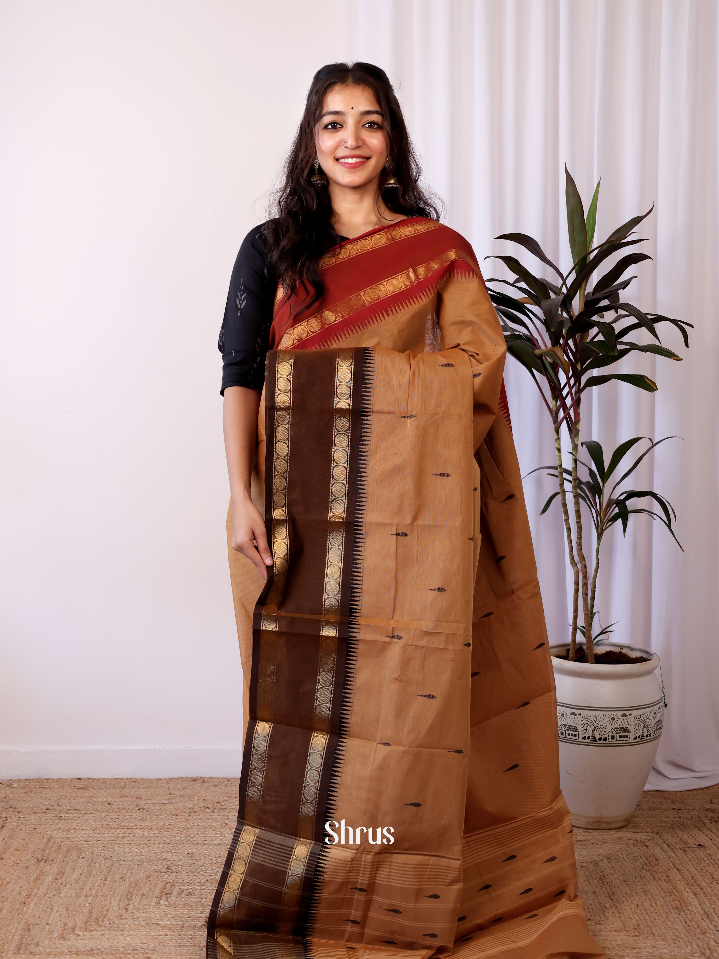 brown   & Red - Chettinad Cotton Saree