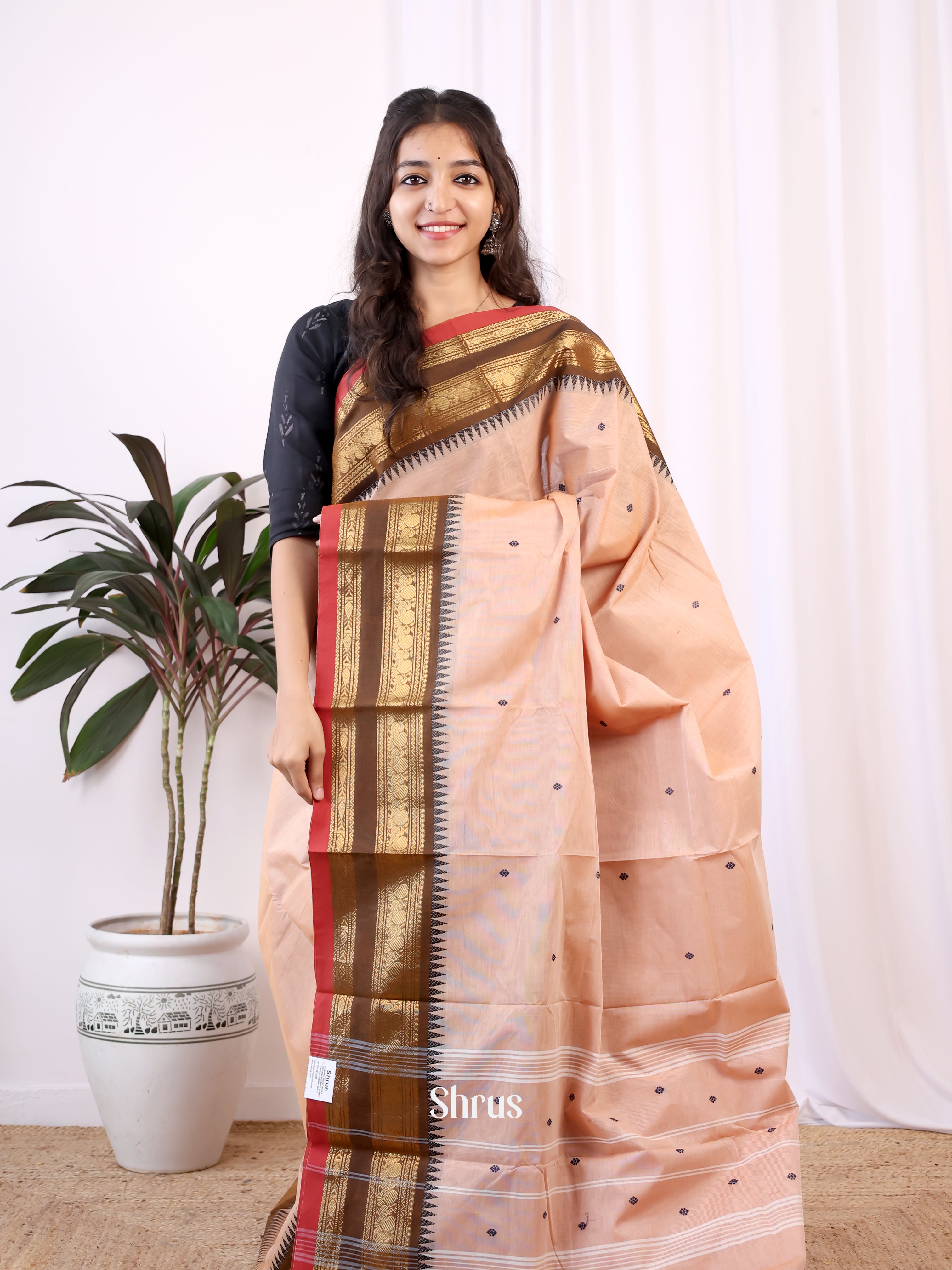 CIS28583 - Chettinad Cotton Saree