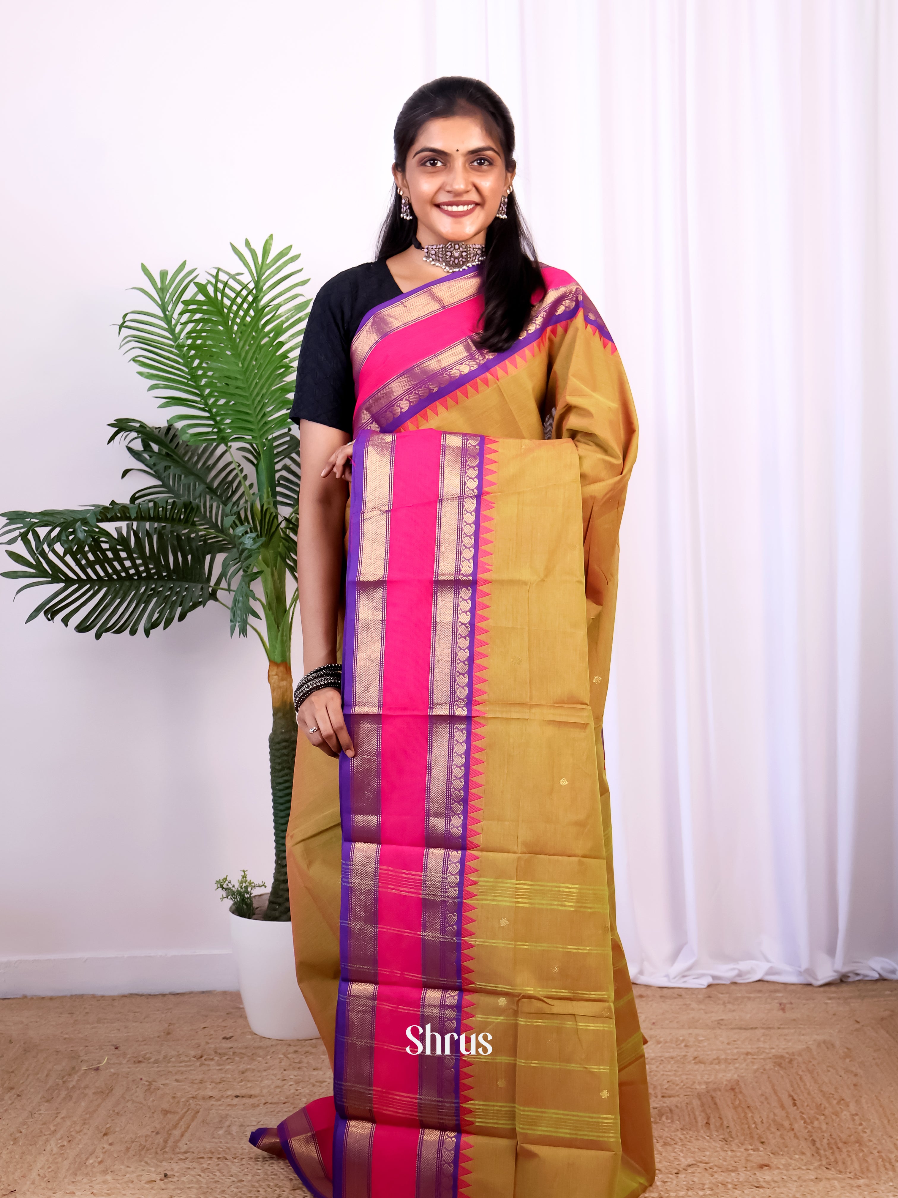 Double Shaded Green & Purple - Chettinad Cotton Saree