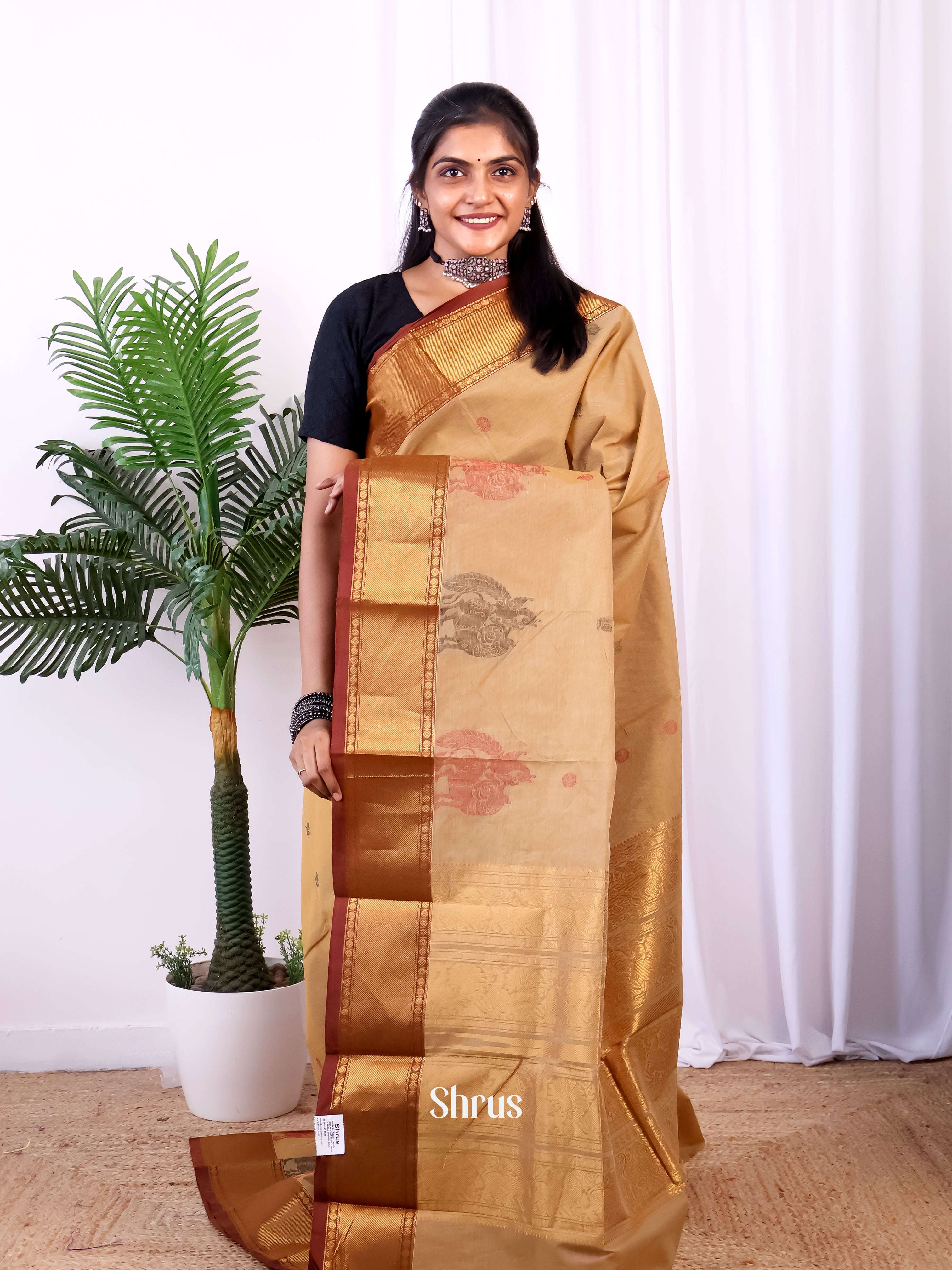 Beige & Brown - Chettinad Cotton Saree