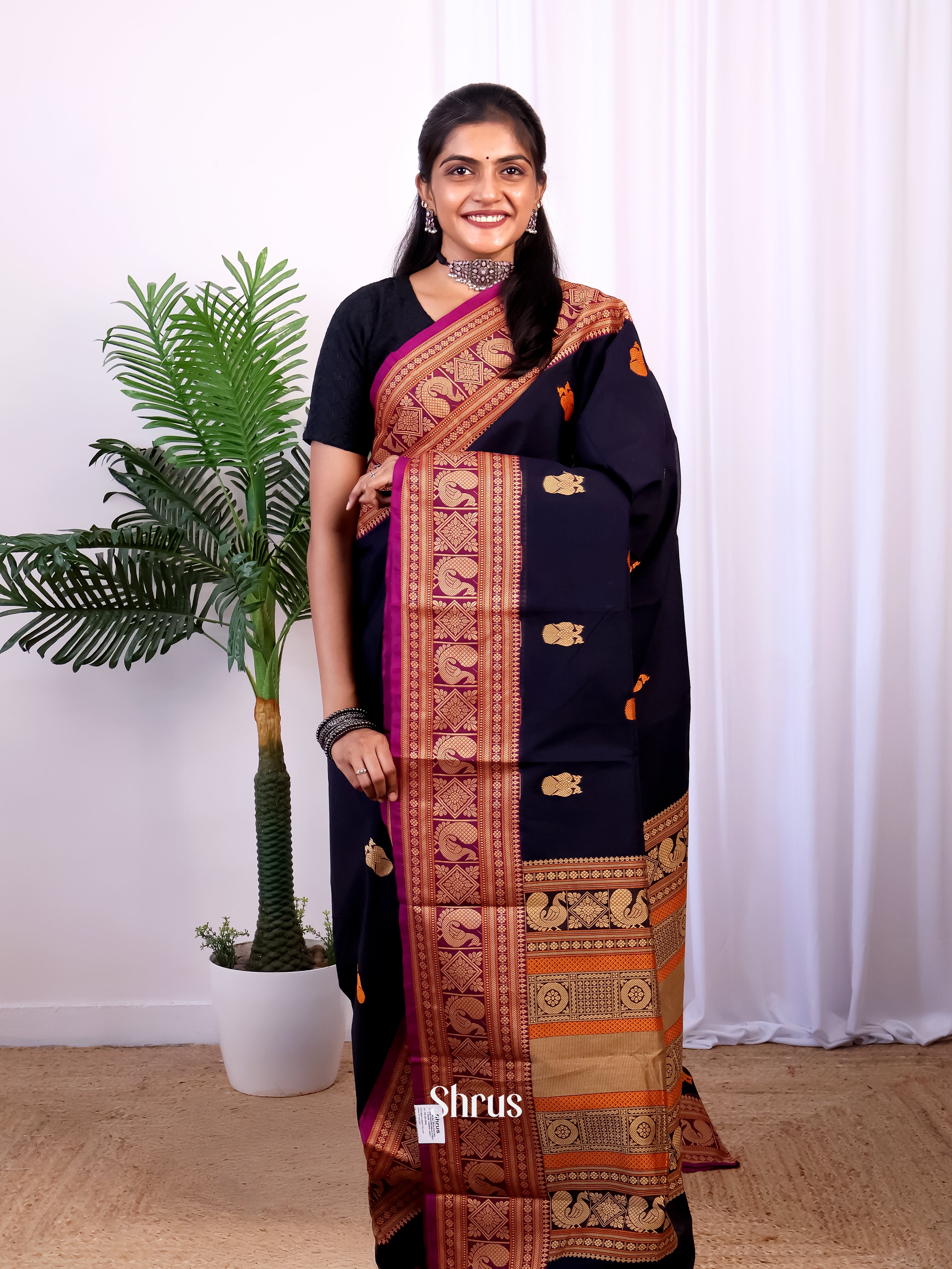 Violet & Purple- Chettinad Cotton Saree