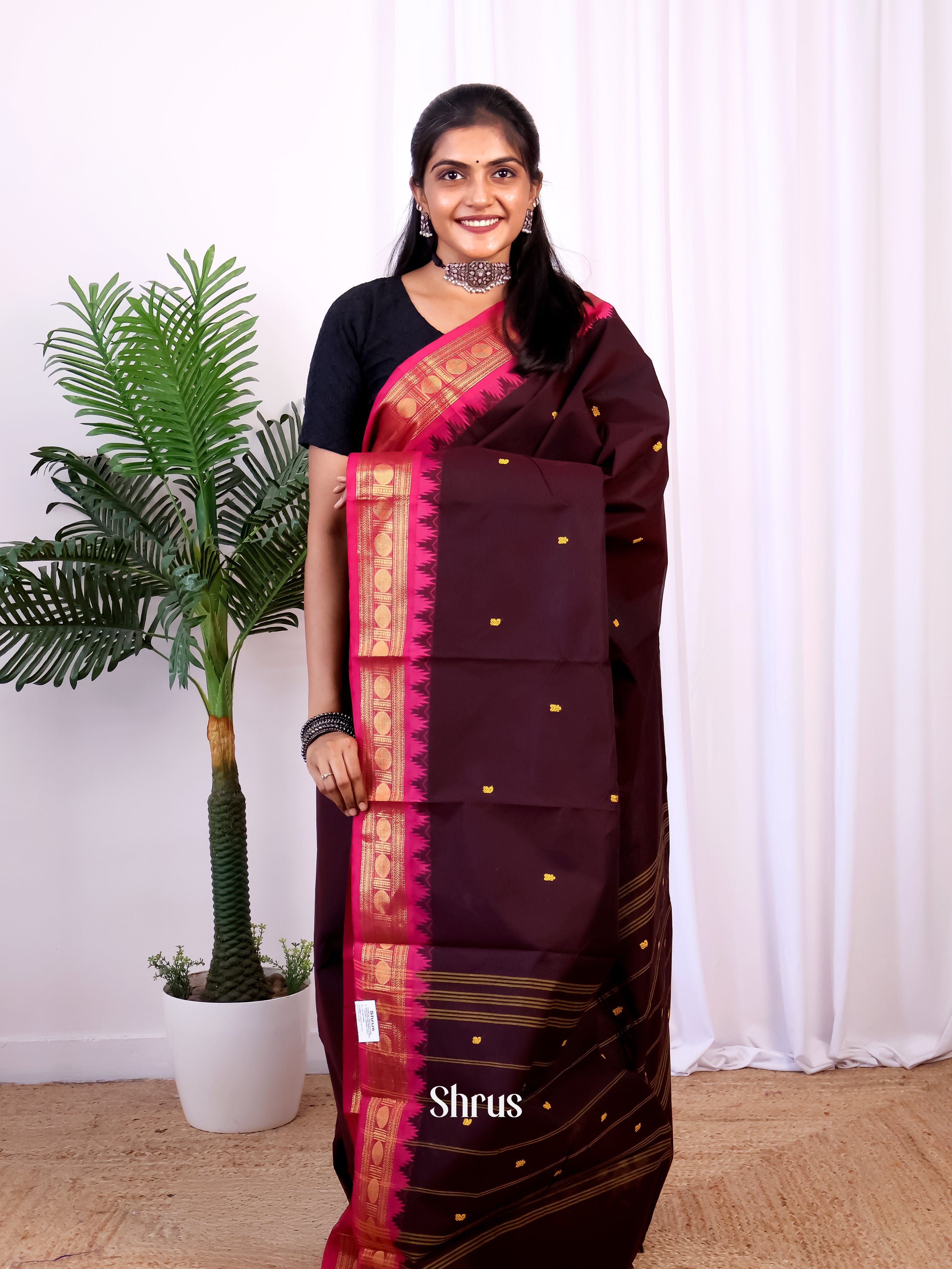 Coffee Brown & Pink - Chettinad Cotton Saree