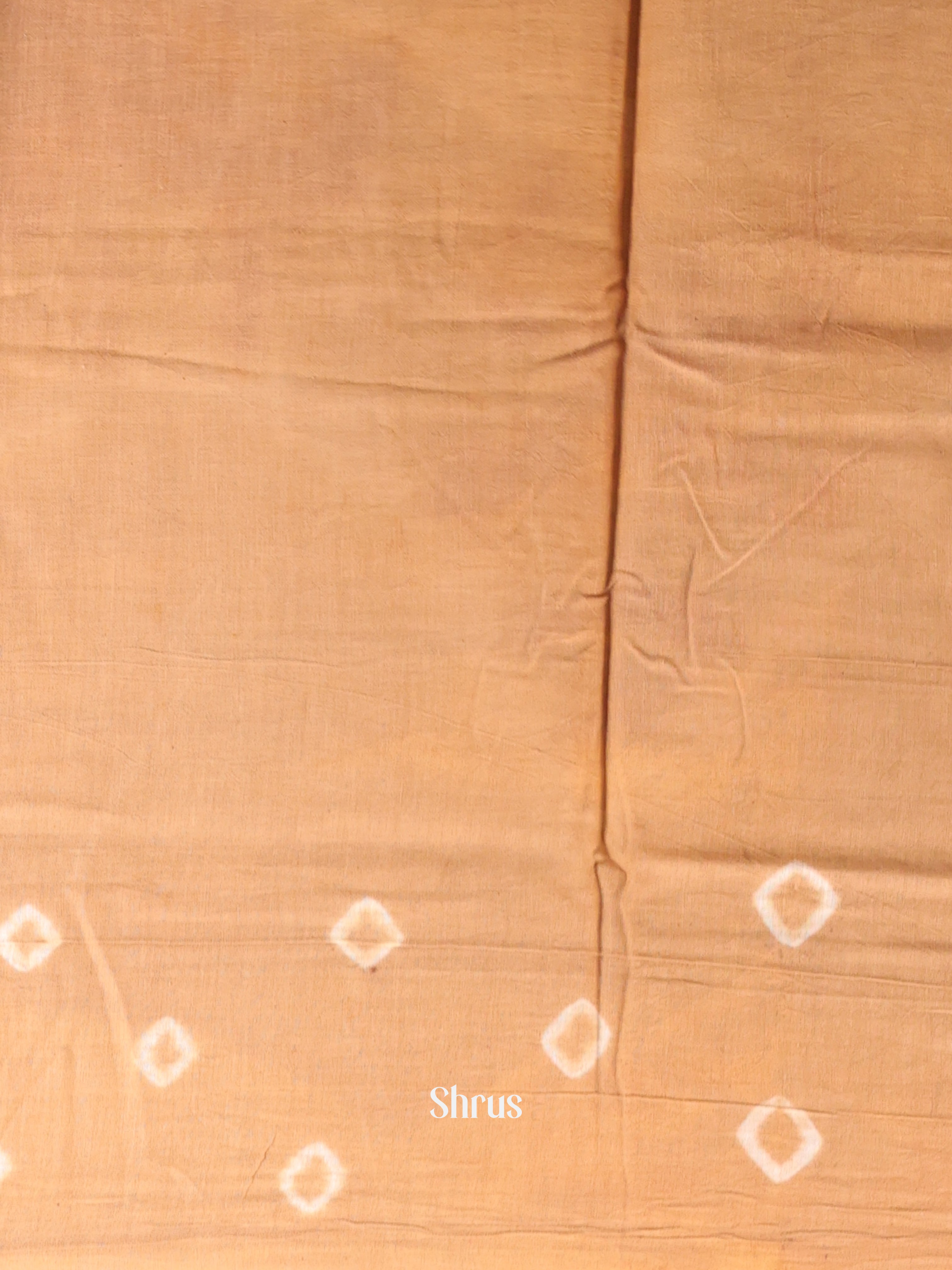 Red & Biscuit - Cotton Saree