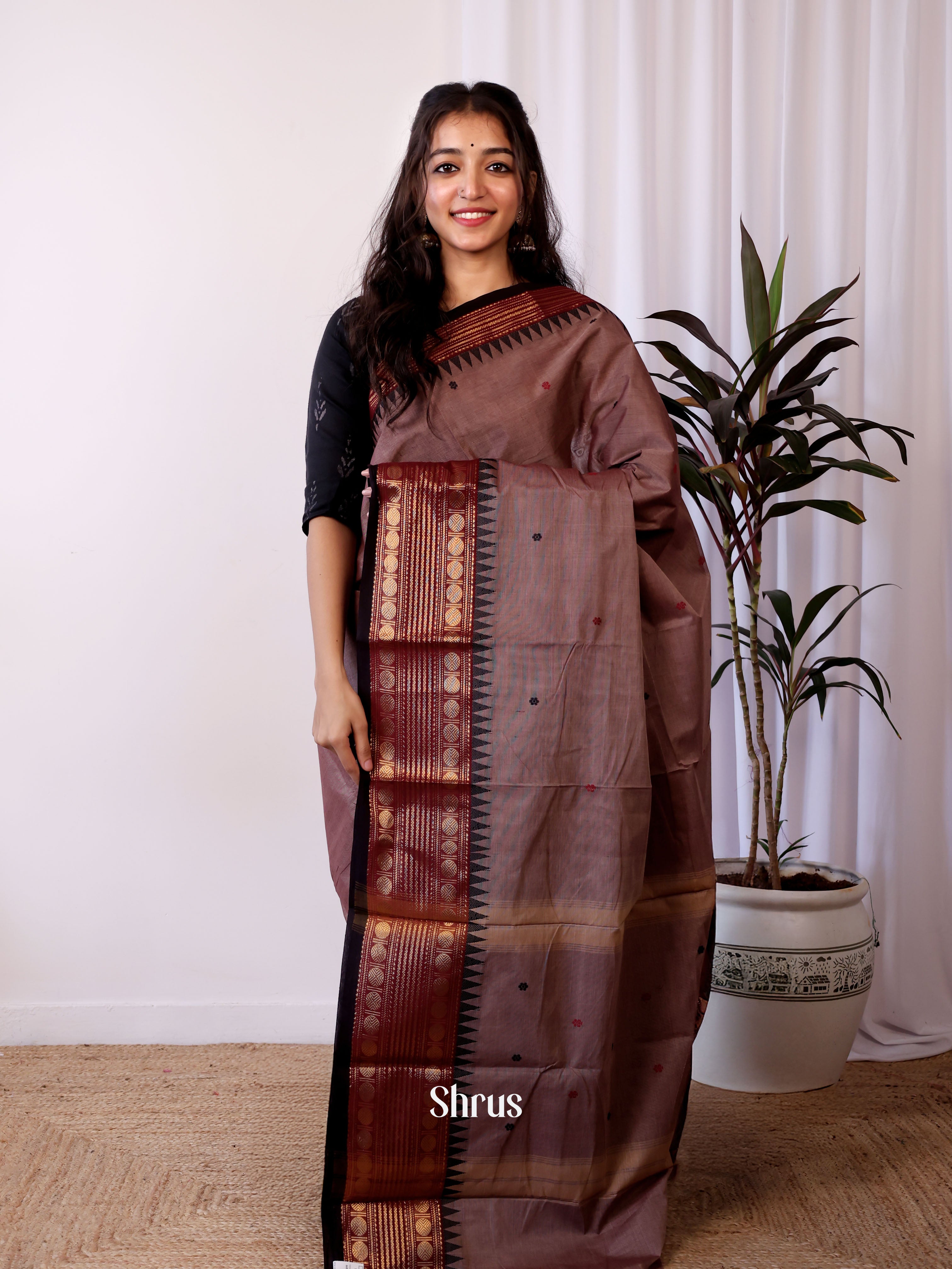 Brown & Black - Chettinad Cotton Saree