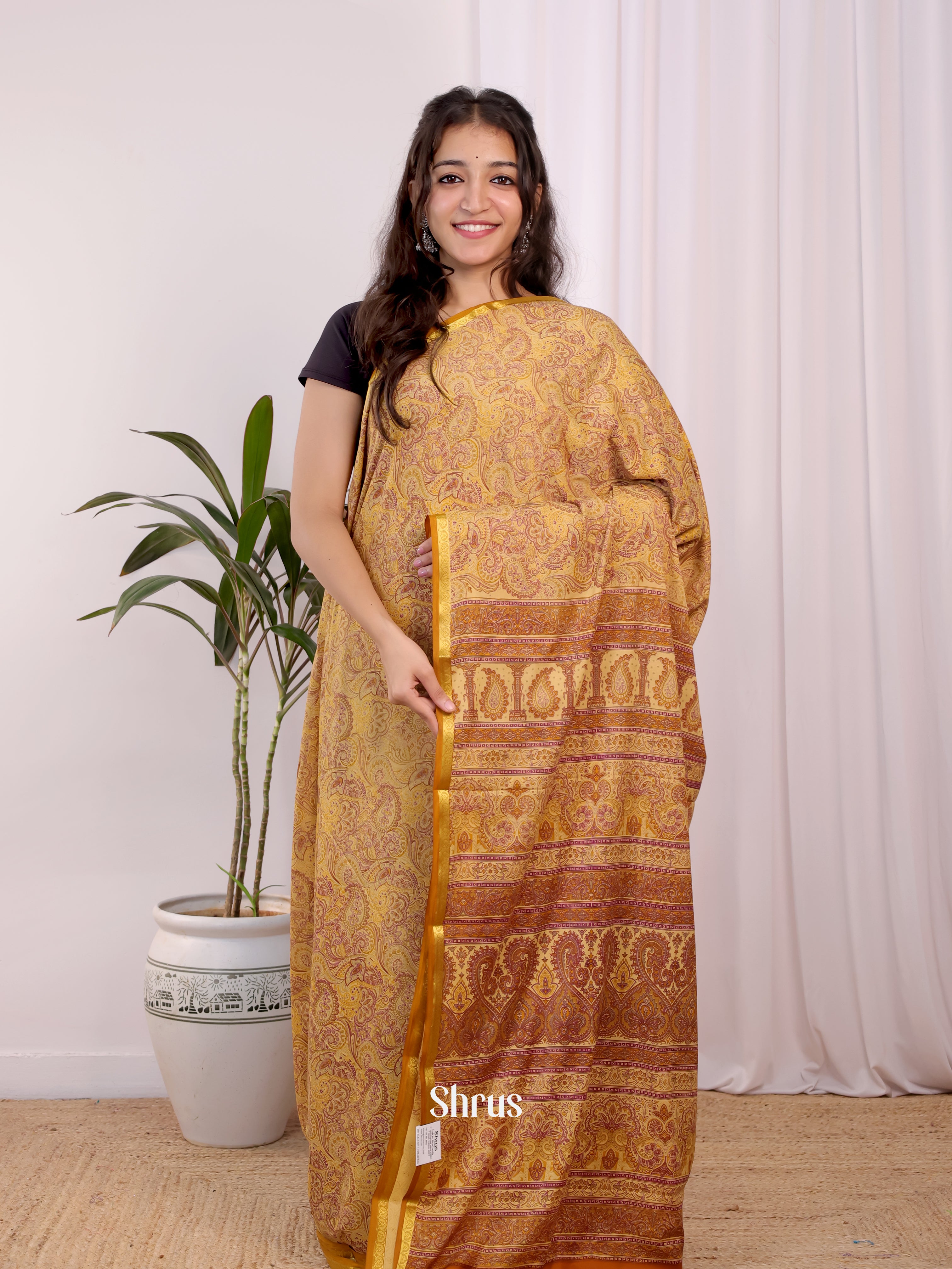 Beige - Semi Mysoresilk Saree