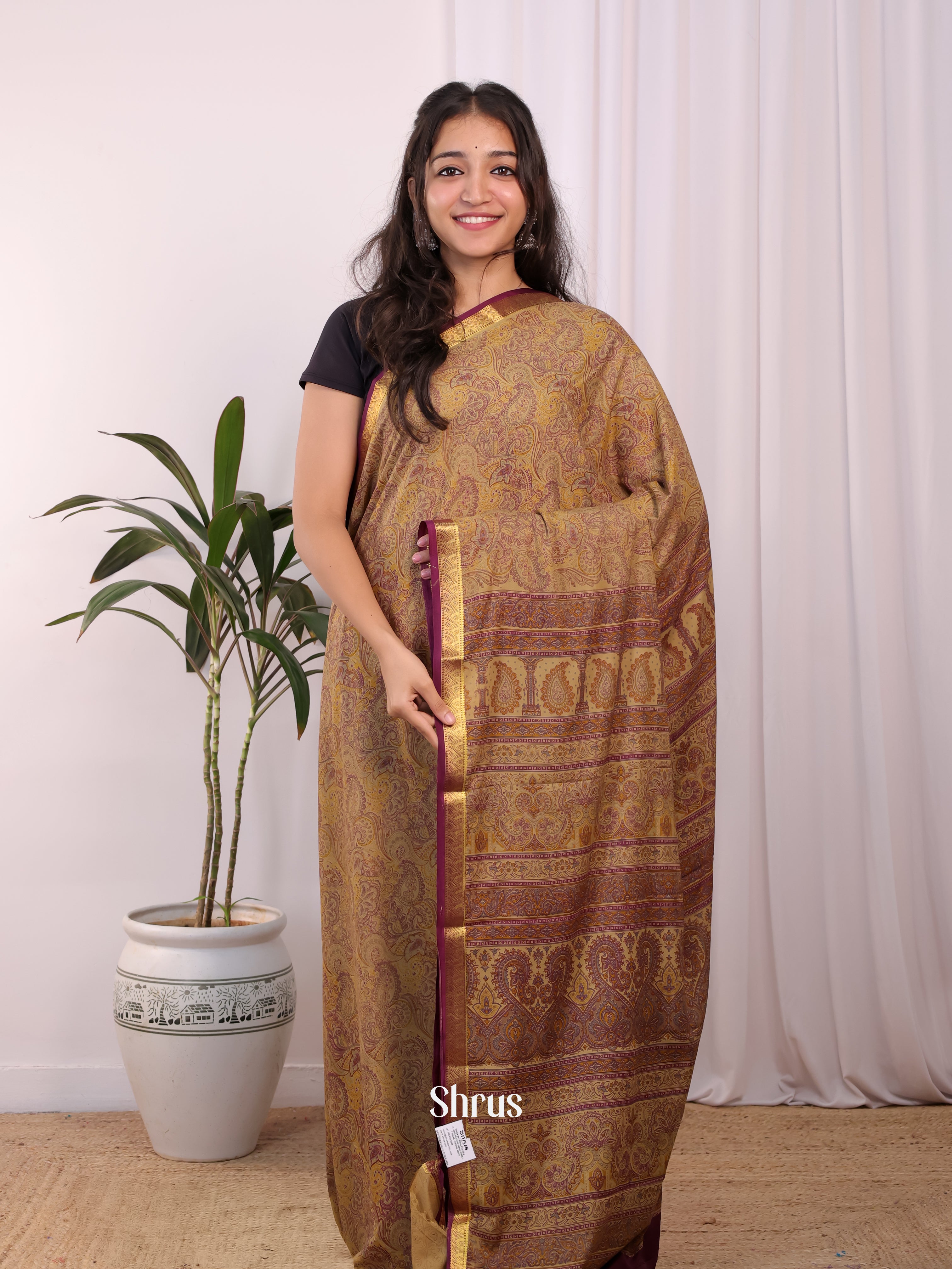 Beige - Semi Mysoresilk Saree