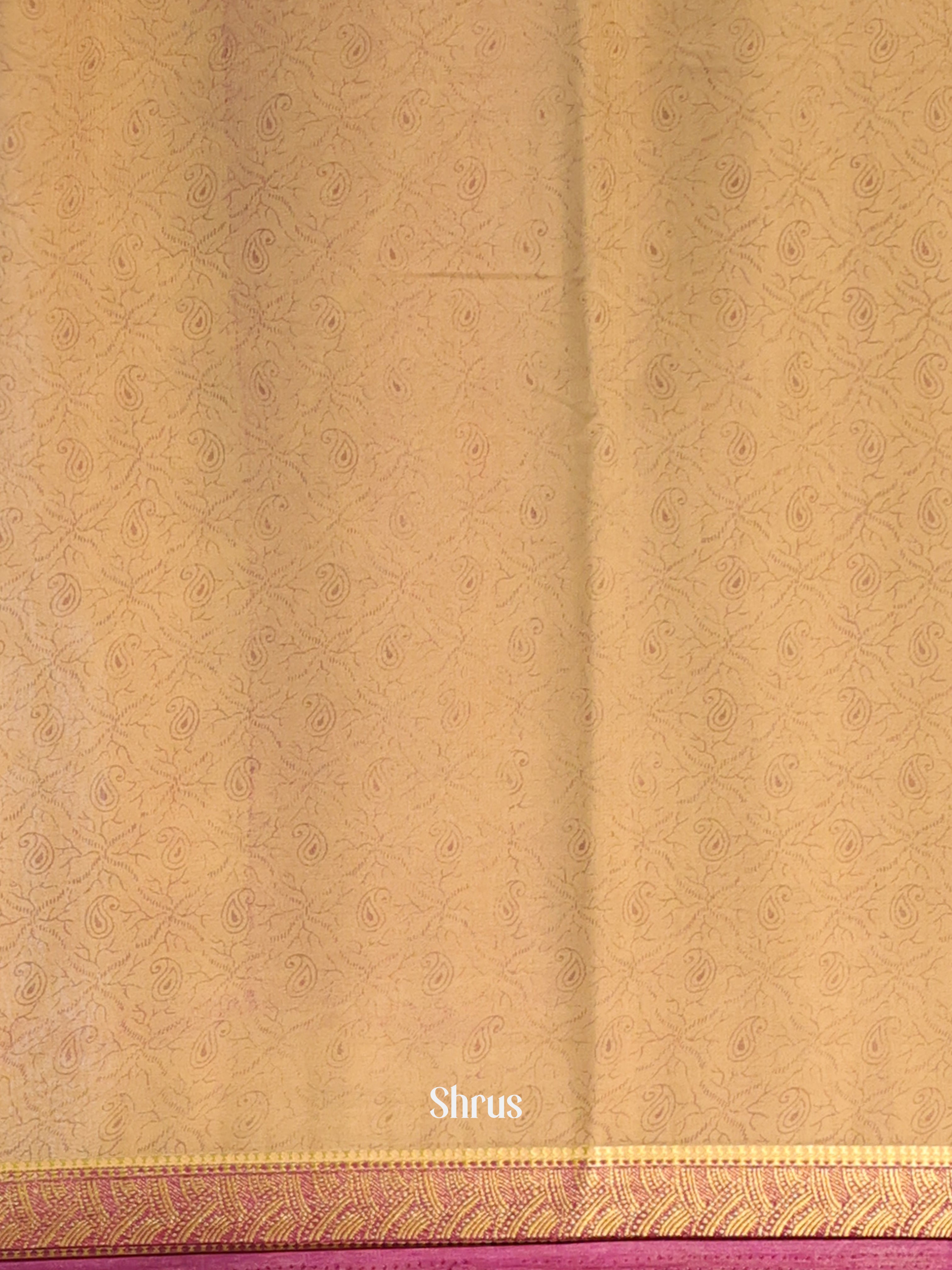 Beige - Semi Mysoresilk Saree