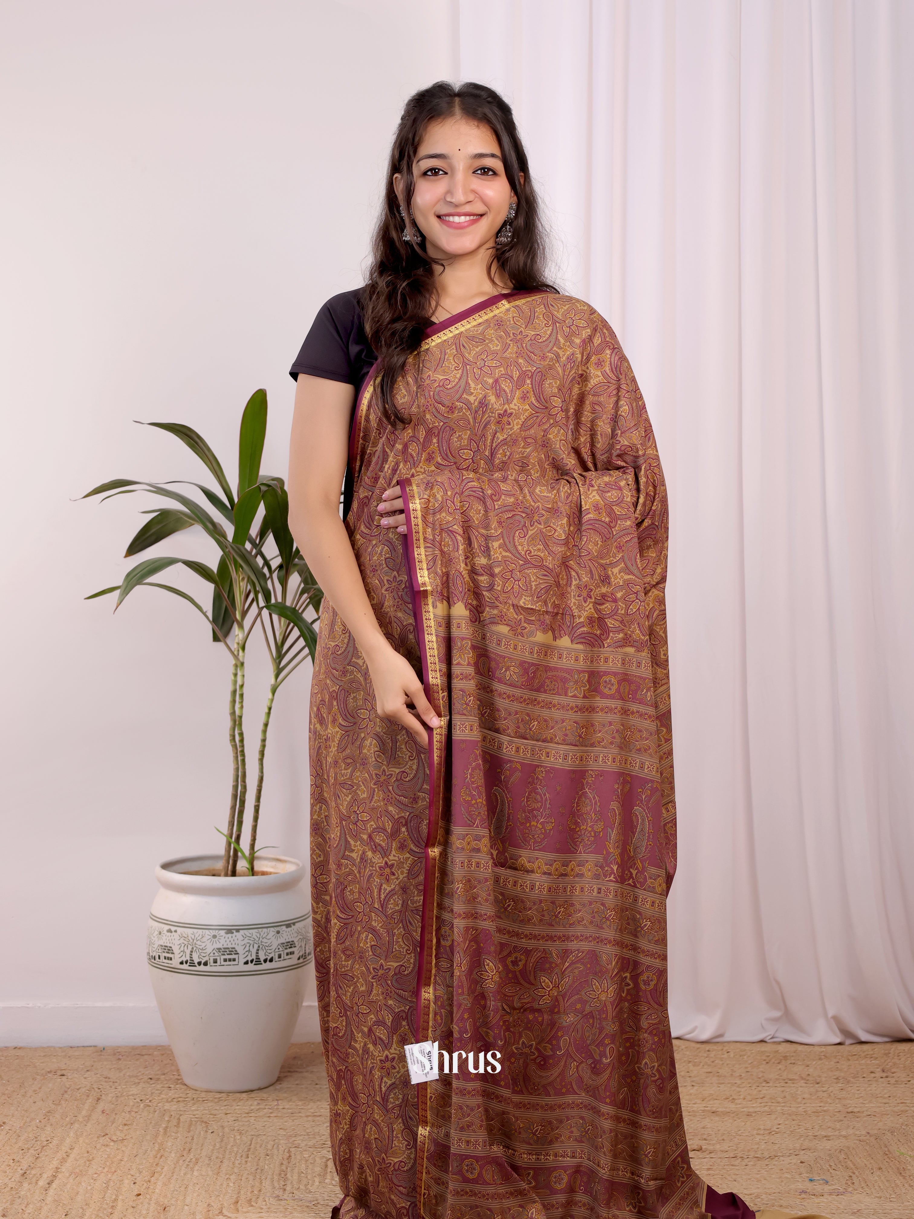 Beige  - Semi Mysoresilk Saree