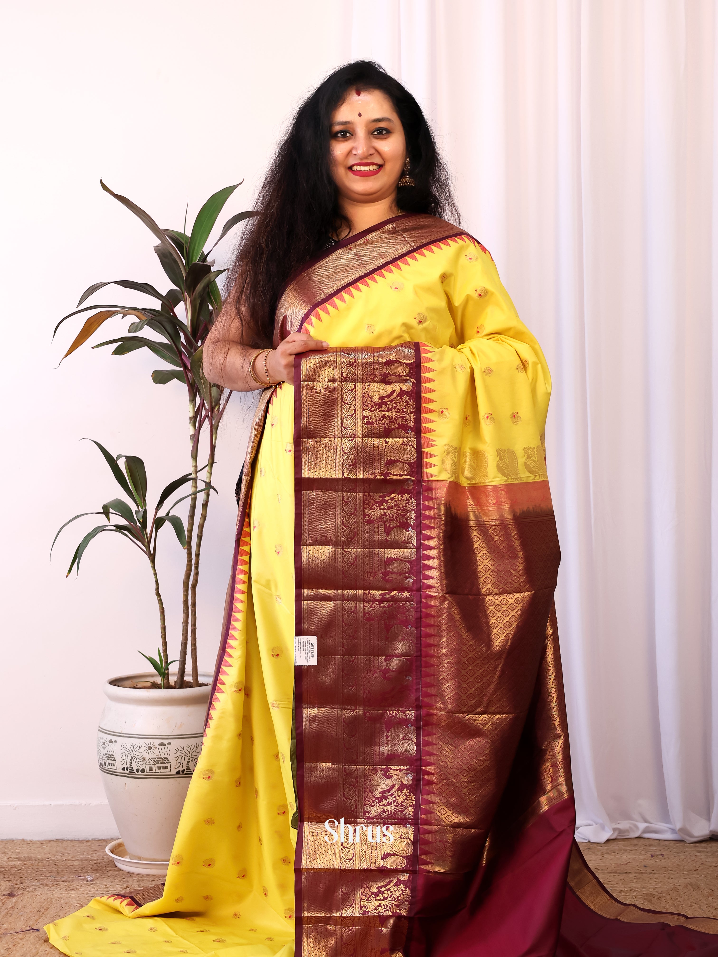 Yellow & Brown - Gadwal halfpure Saree