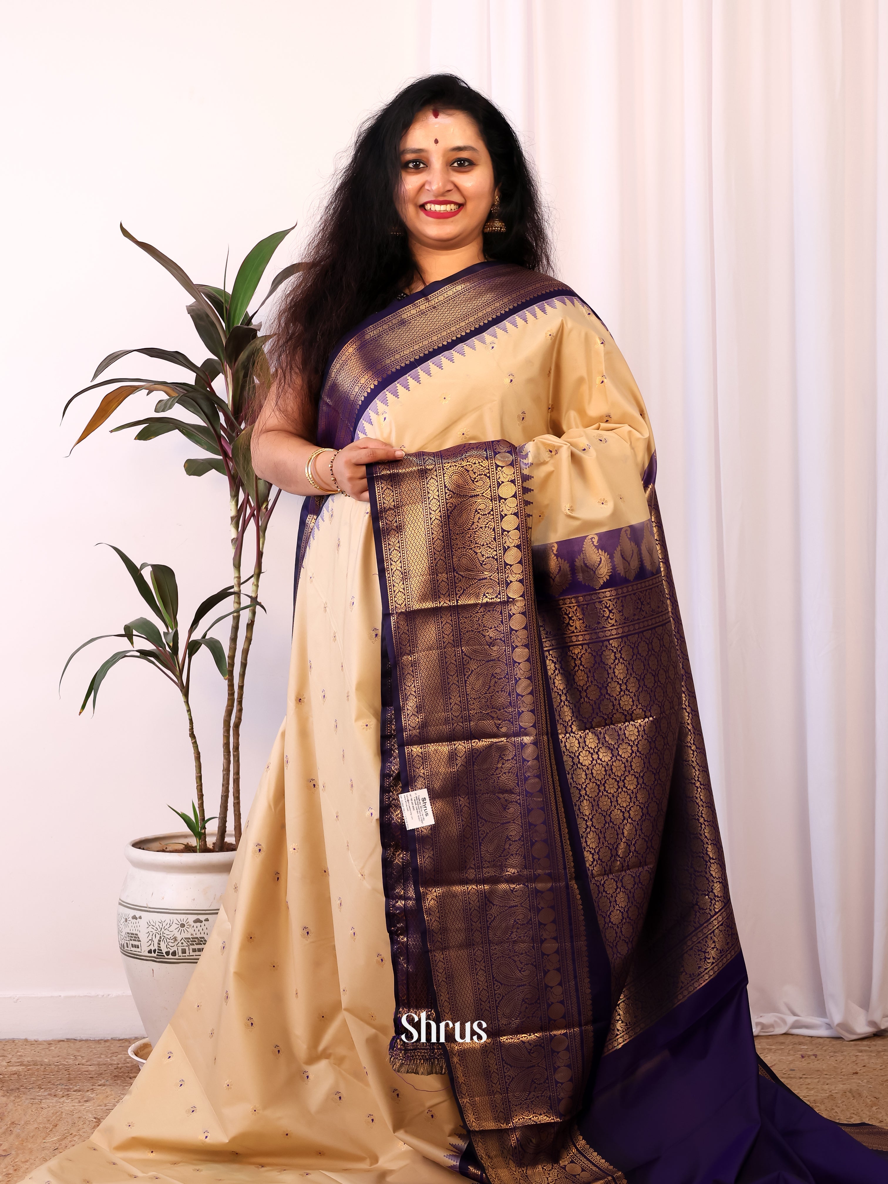 Beige & Blue - Gadwal halfpure Saree