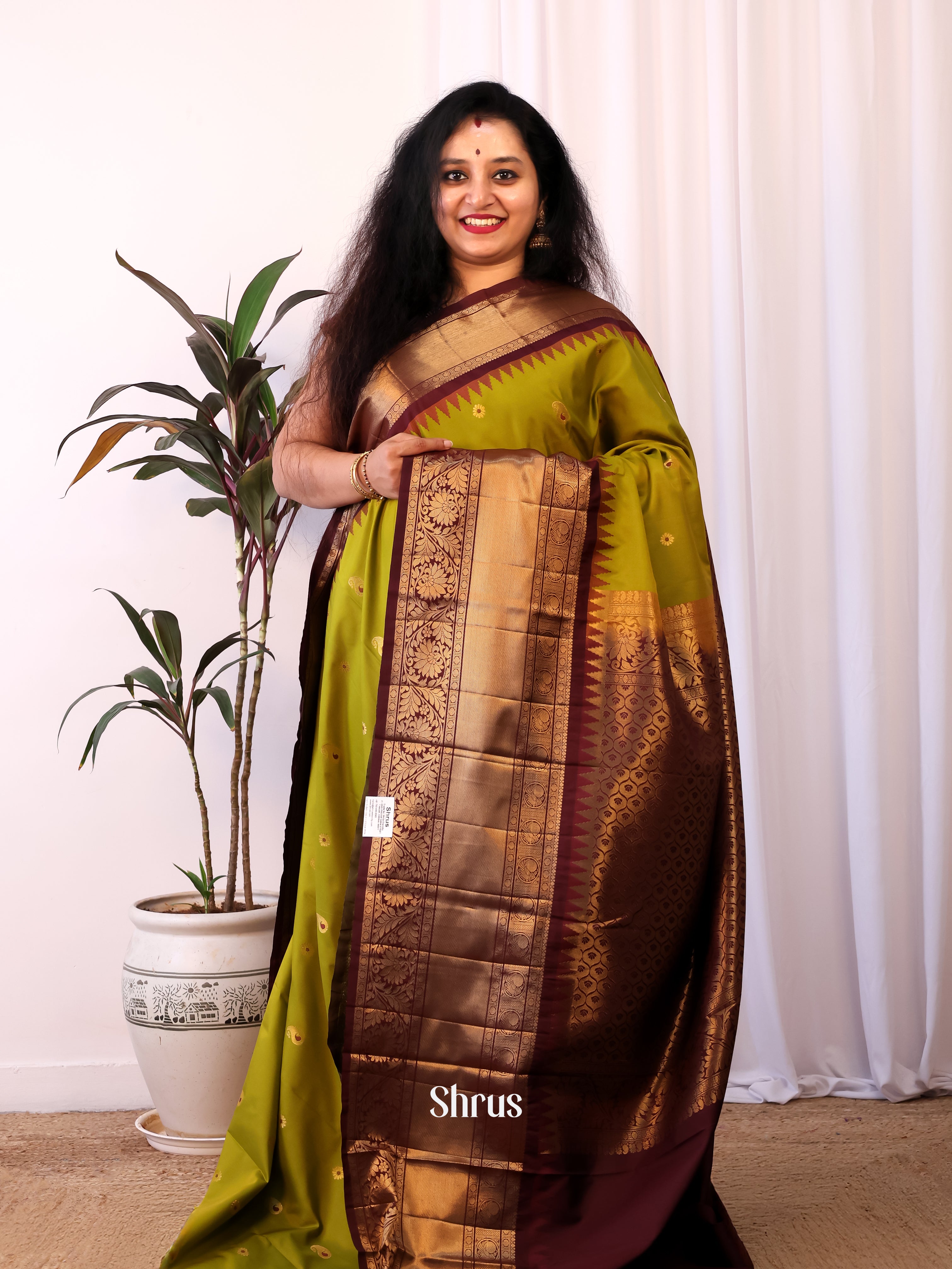 Green & Brown - Gadwal halfpure Saree