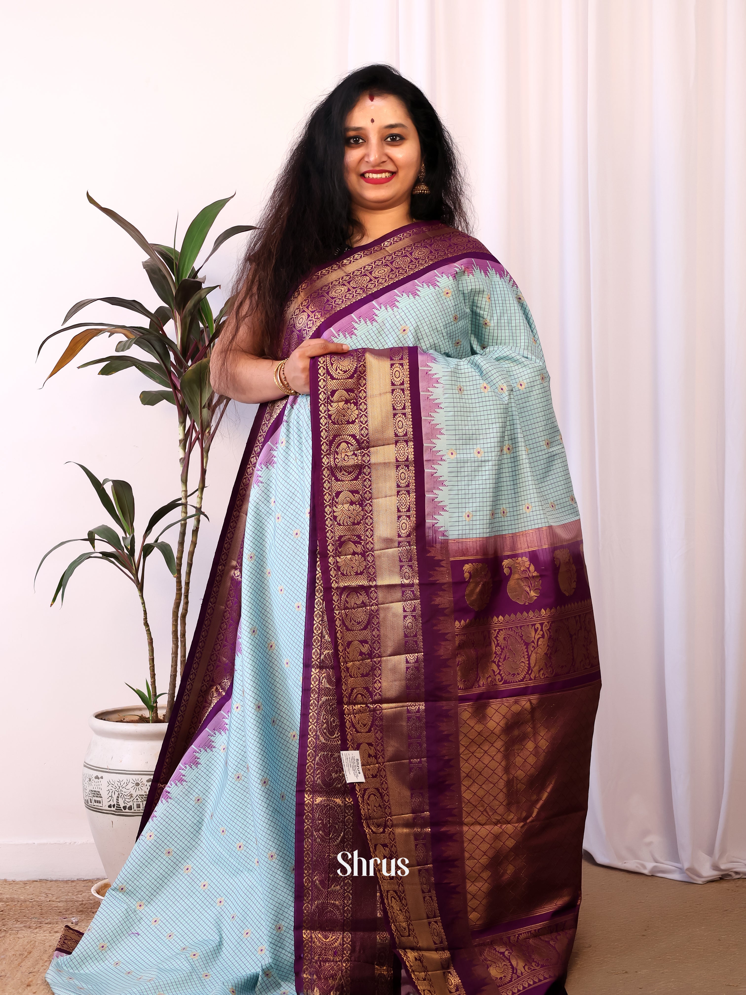 Blue & Violet - Gadwal halfpure Saree