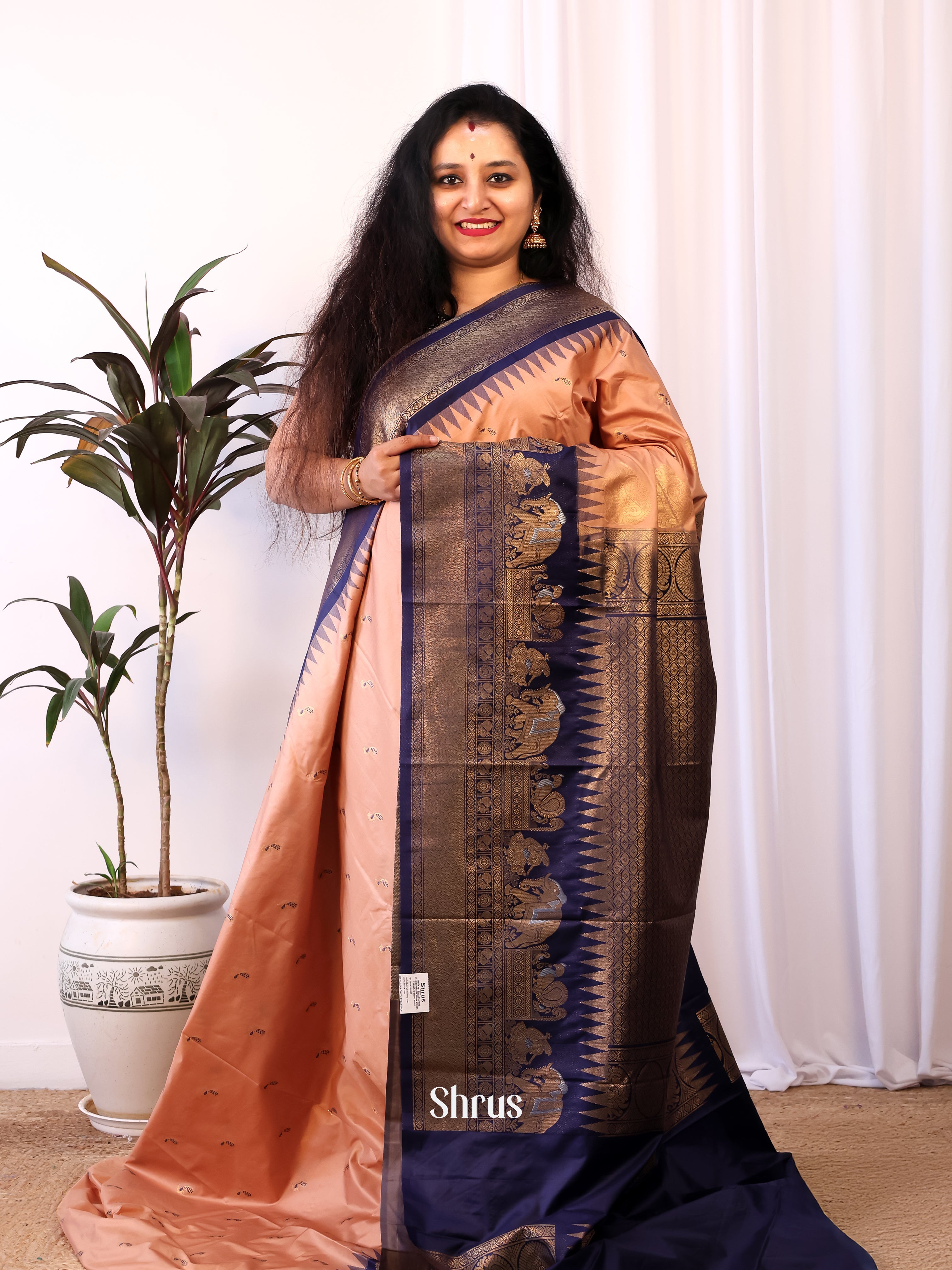 Dusty Brown & Blue - Gadwal halfpure Saree