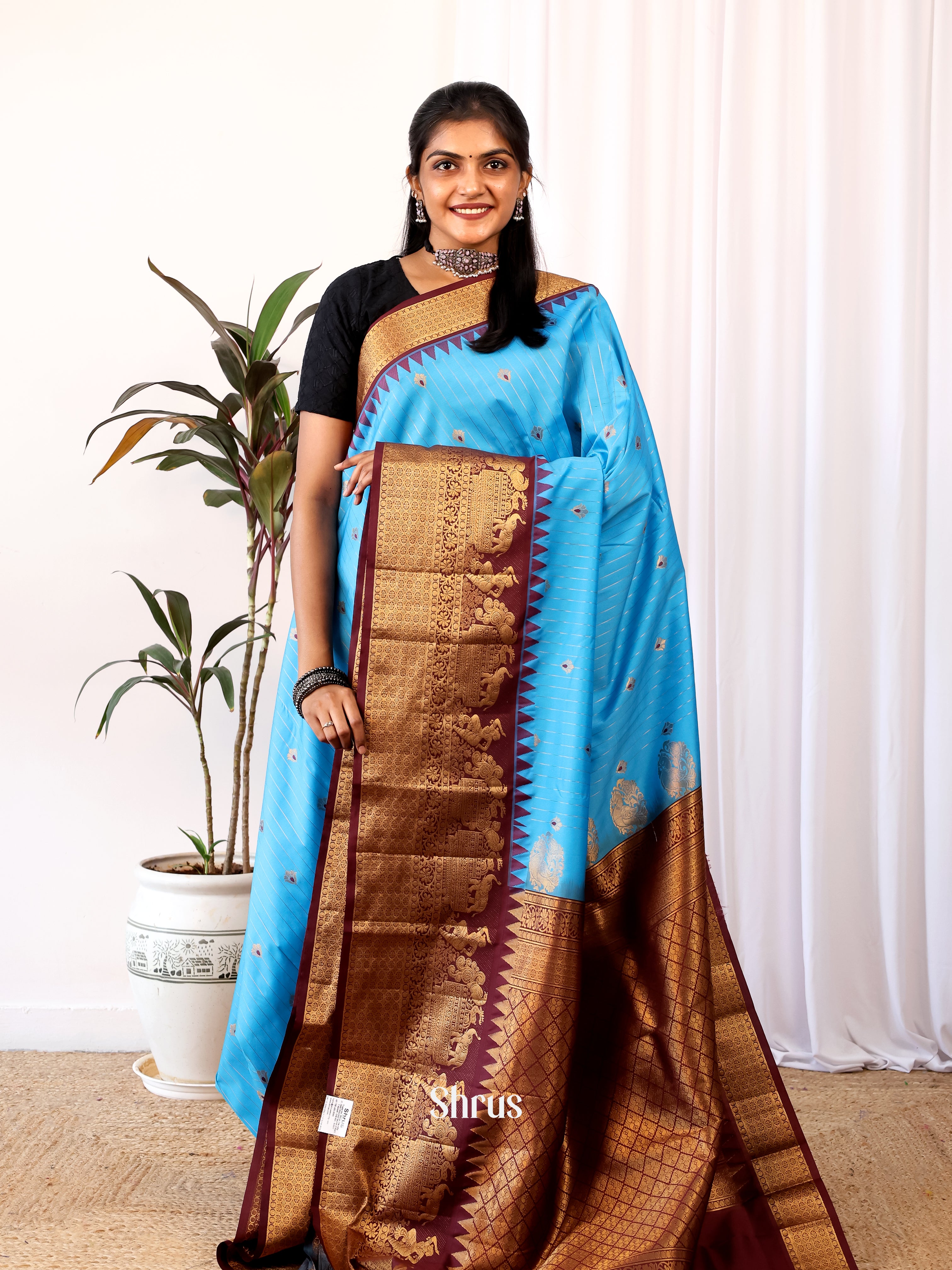 Blue & Brown - Gadwal halfpure Saree