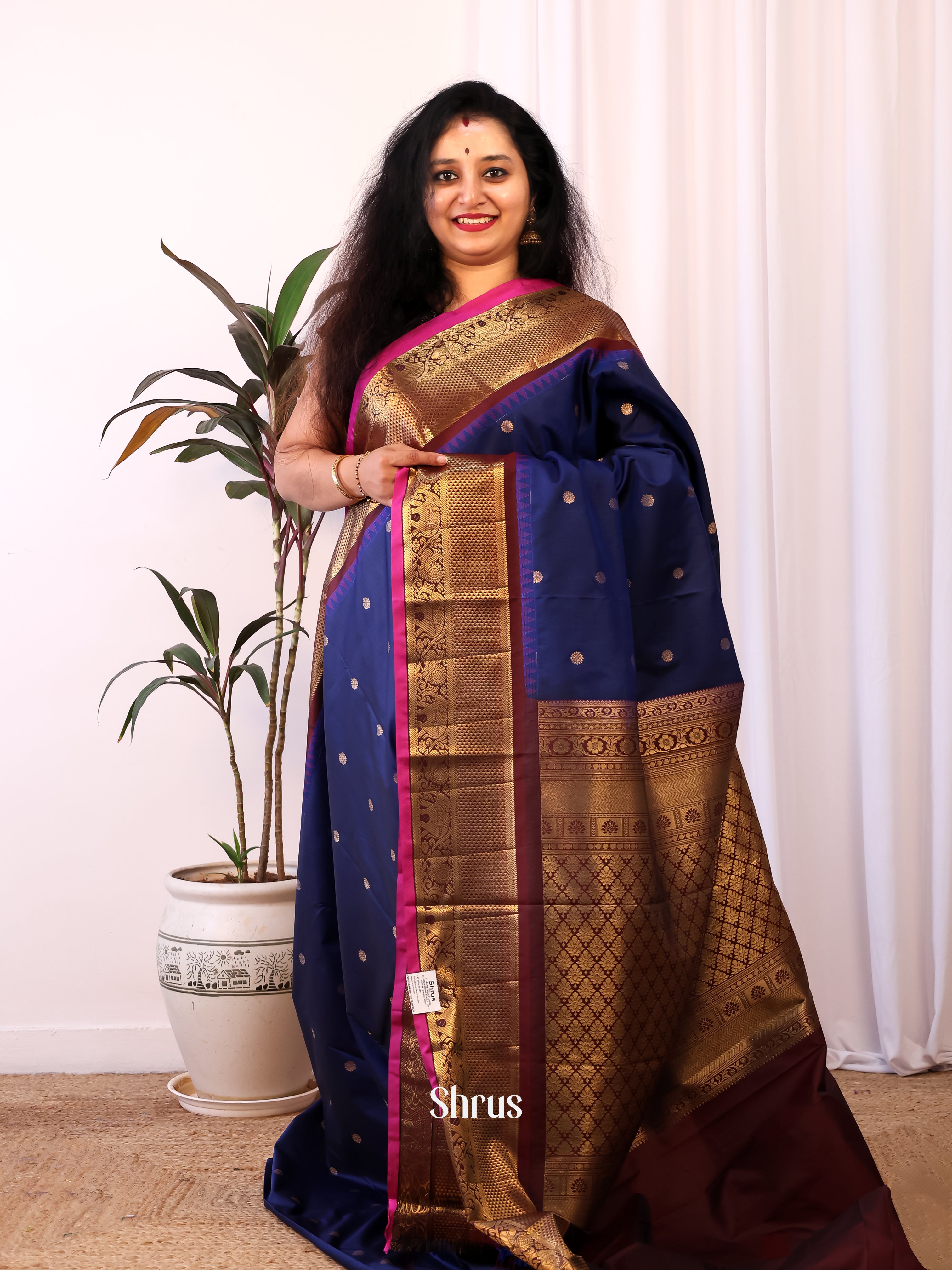 Blue & Brown - Gadwal halfpure Saree