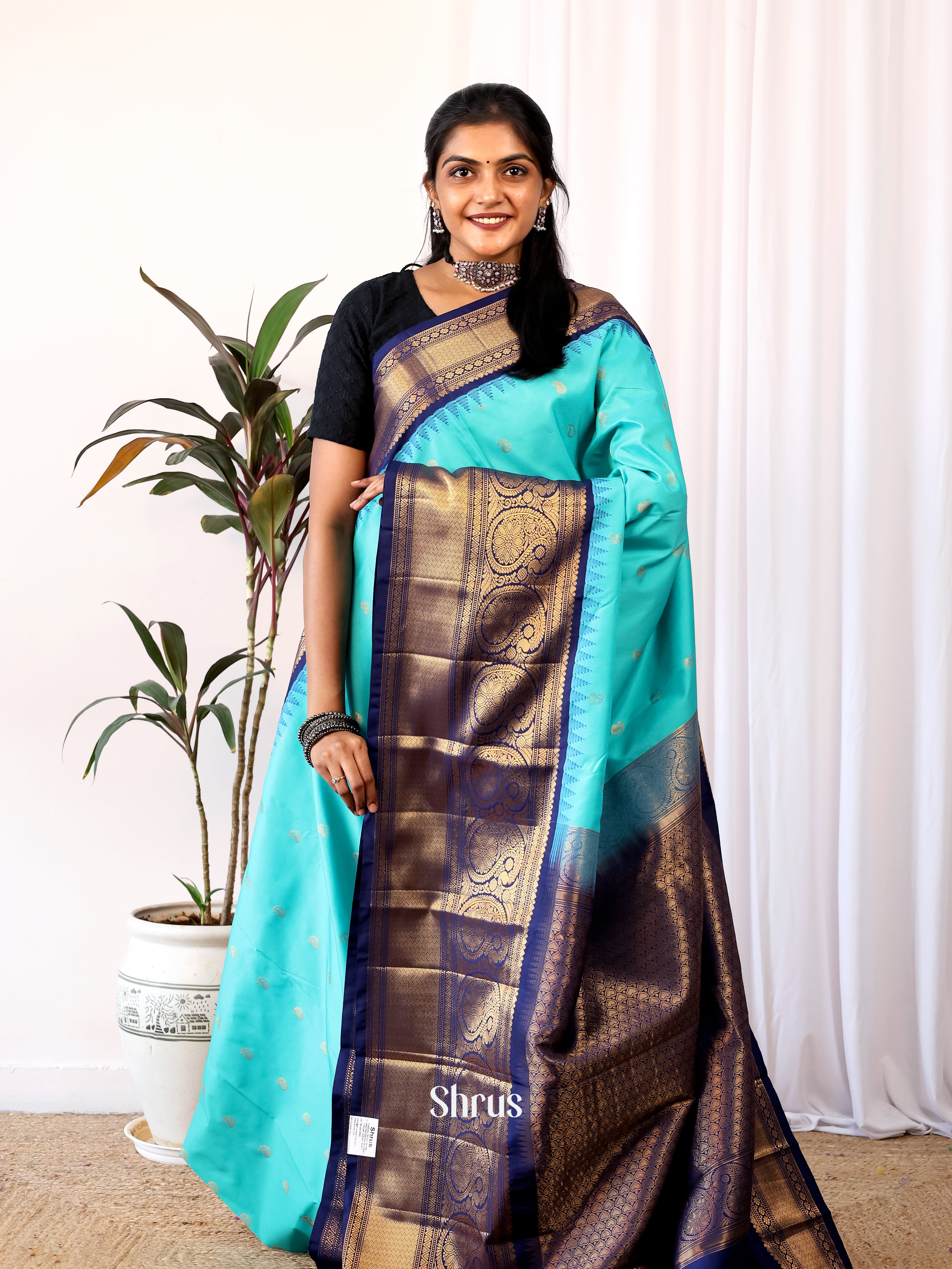 Sky Blue & Blue - Gadwal halfpure Saree