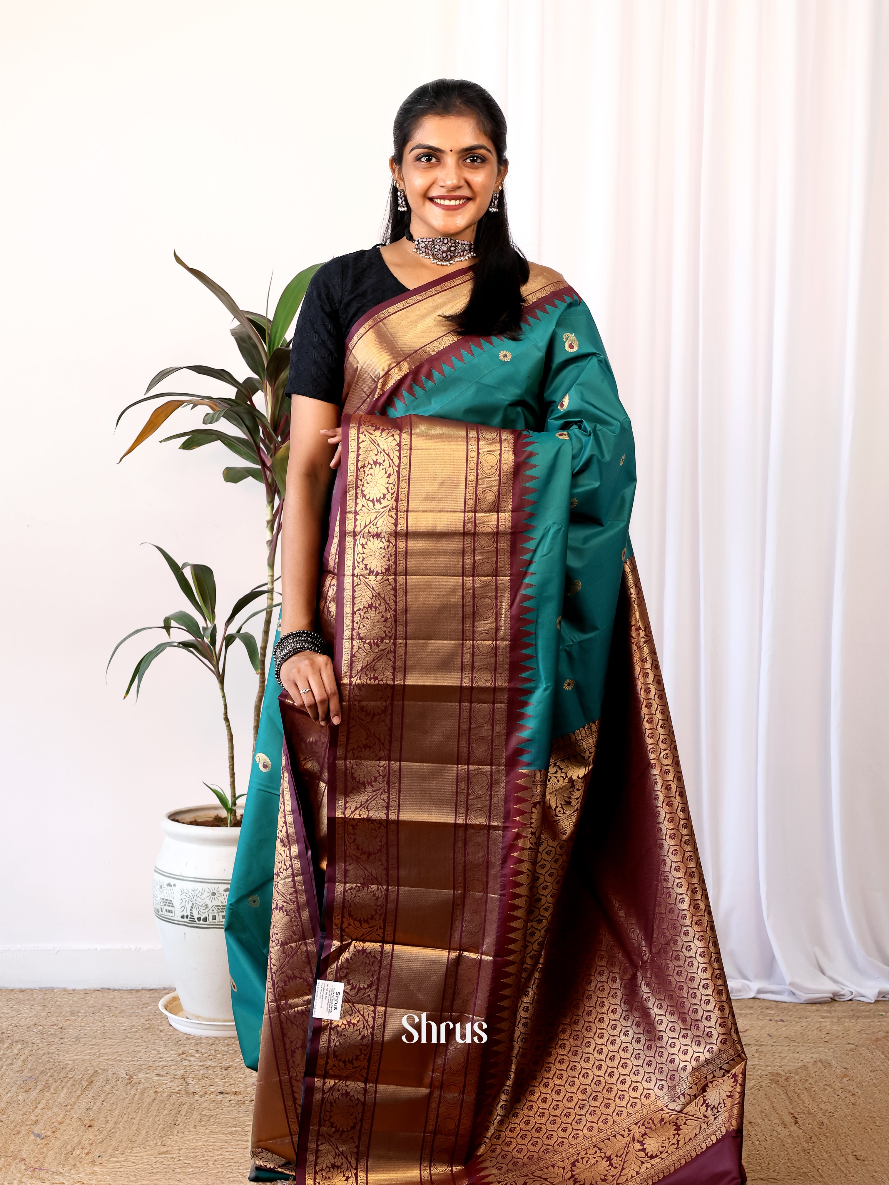 Blue & Brown - Gadwal halfpure Saree