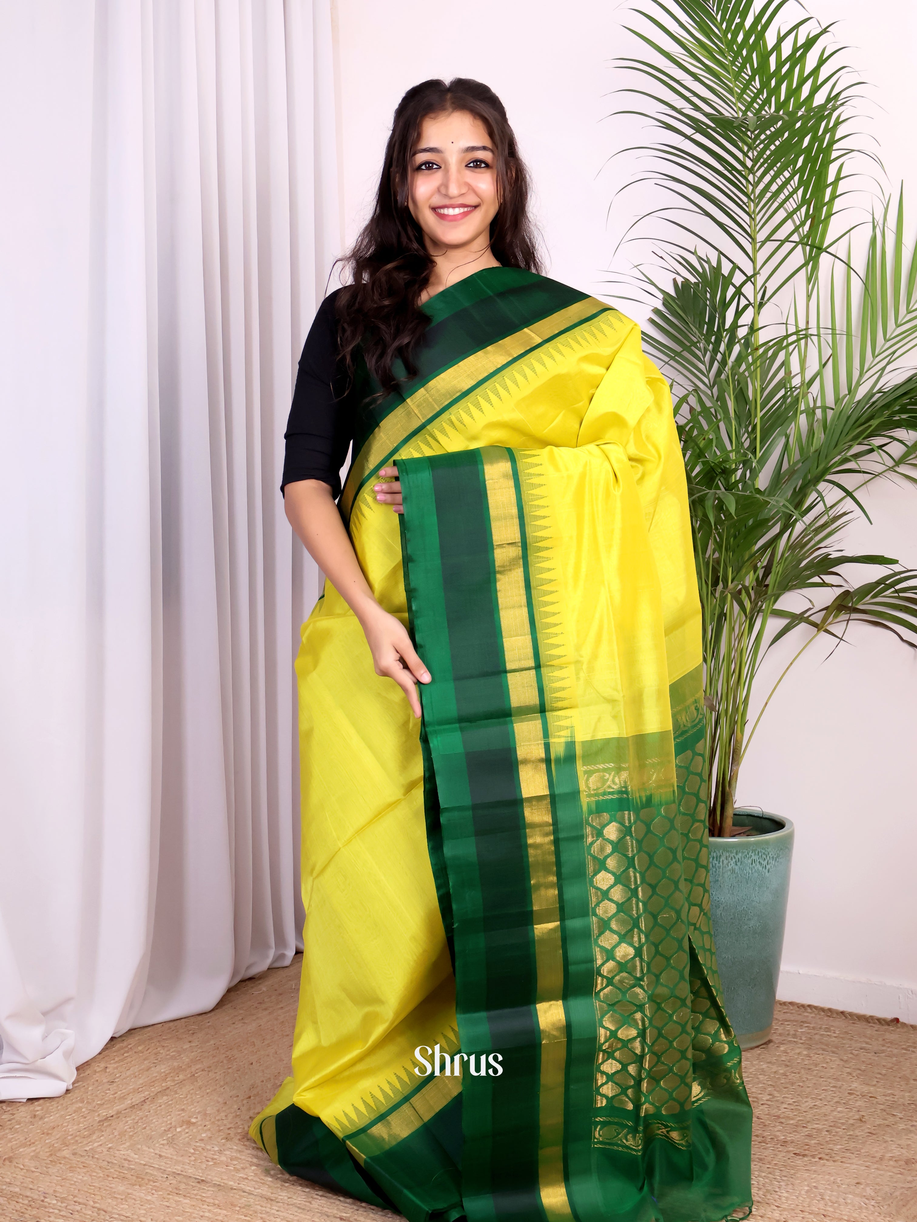 CJS04080 - Silk Cotton Saree - Shop on Shrus.com