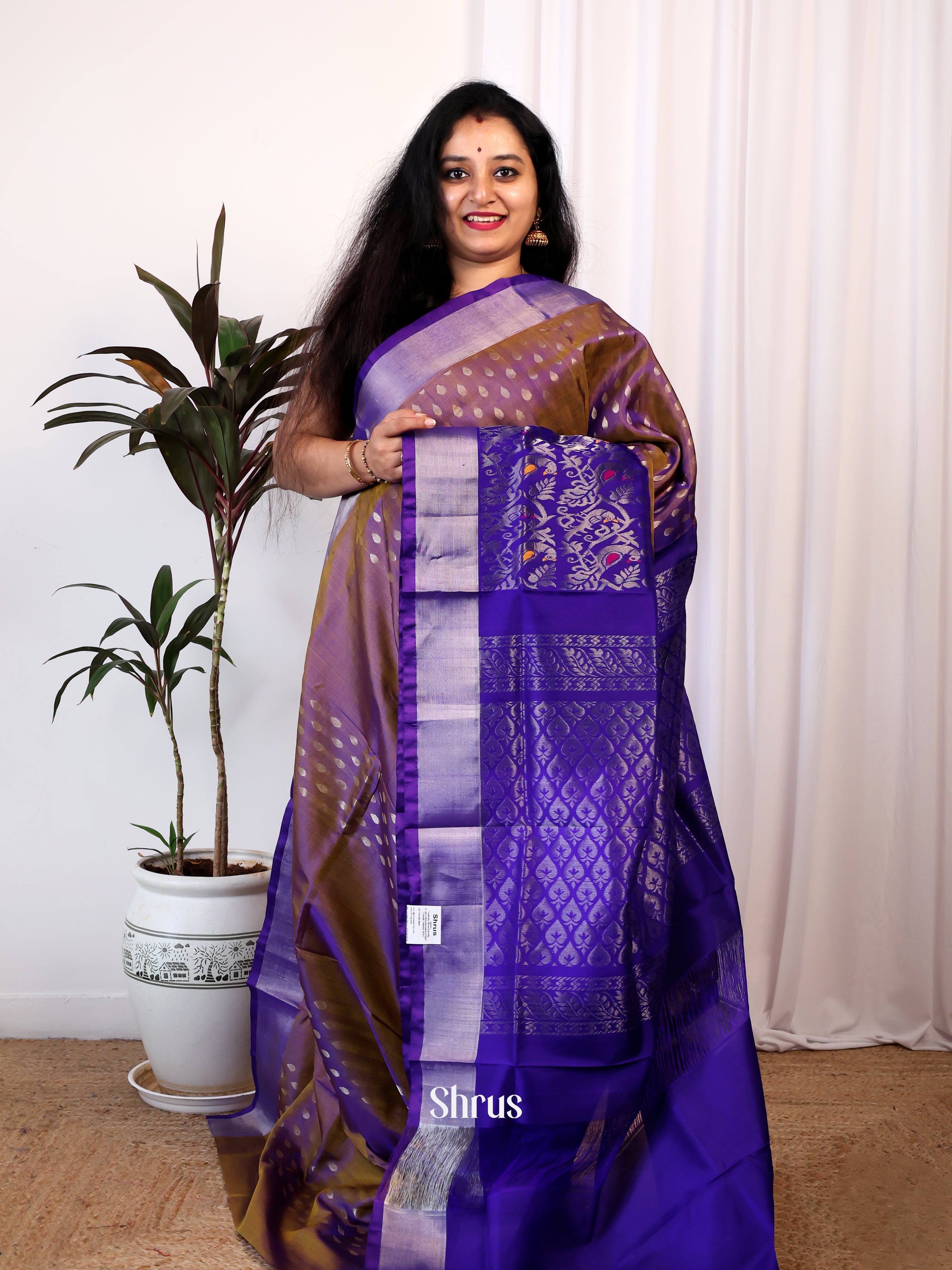 Brown & Blue- Uppada silk Saree