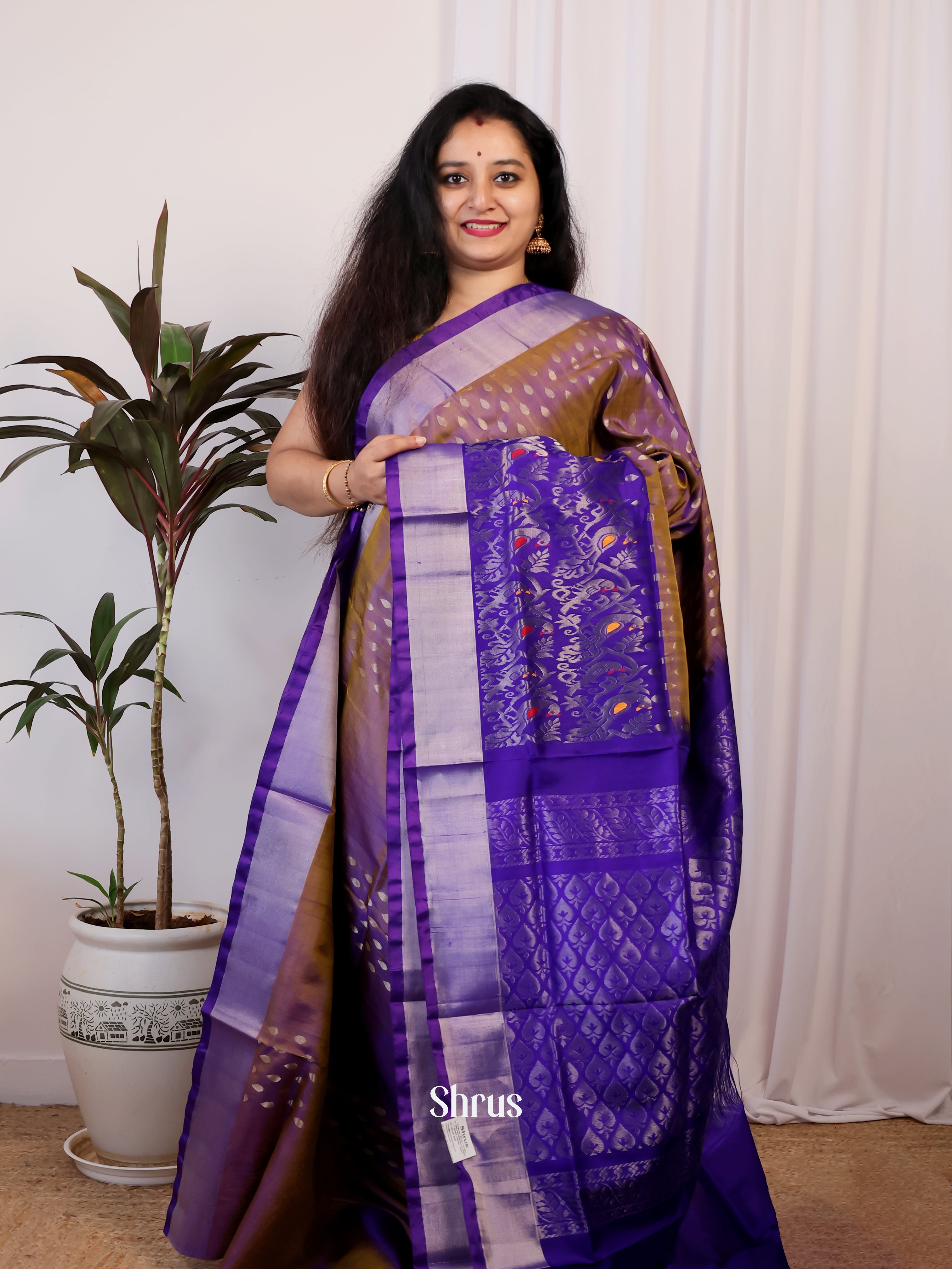 Brown & Violet - Uppada silk Saree