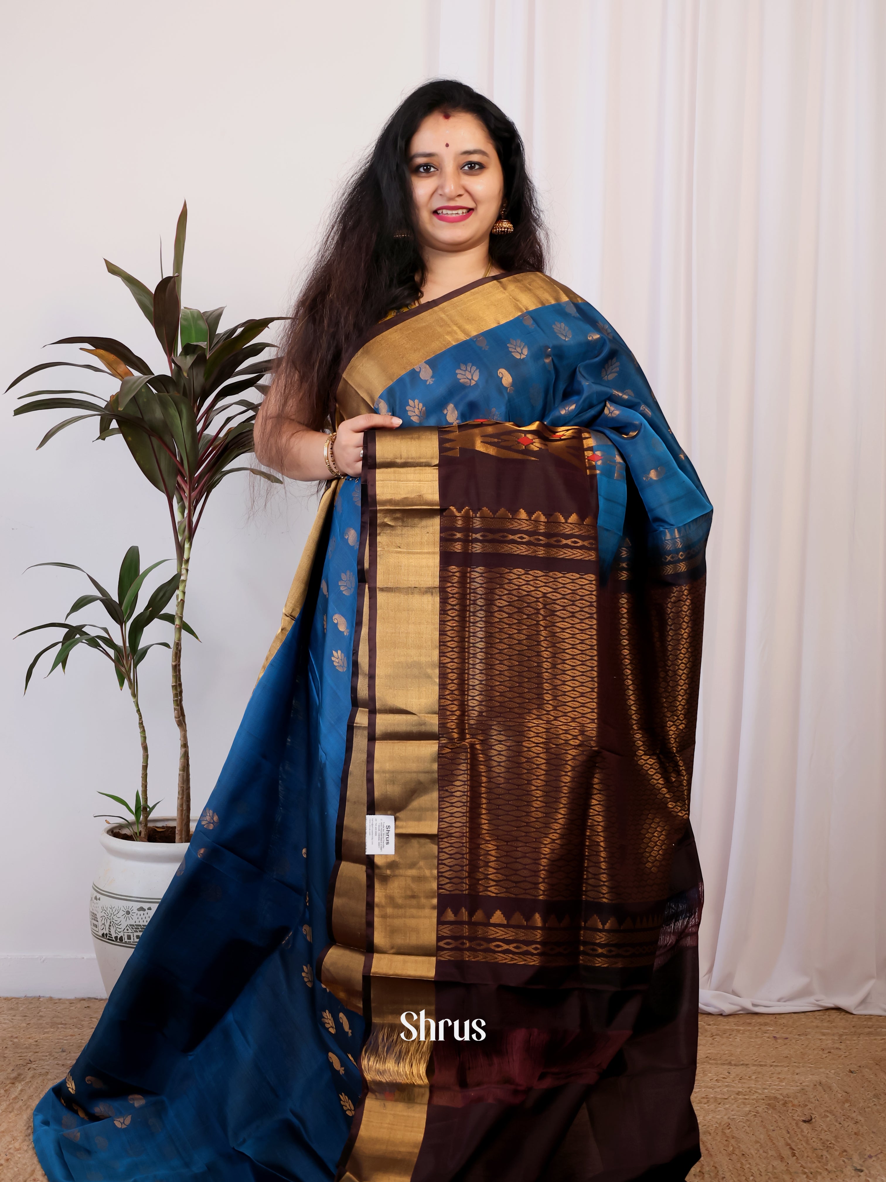 Blue & Brown - Uppada silk Saree