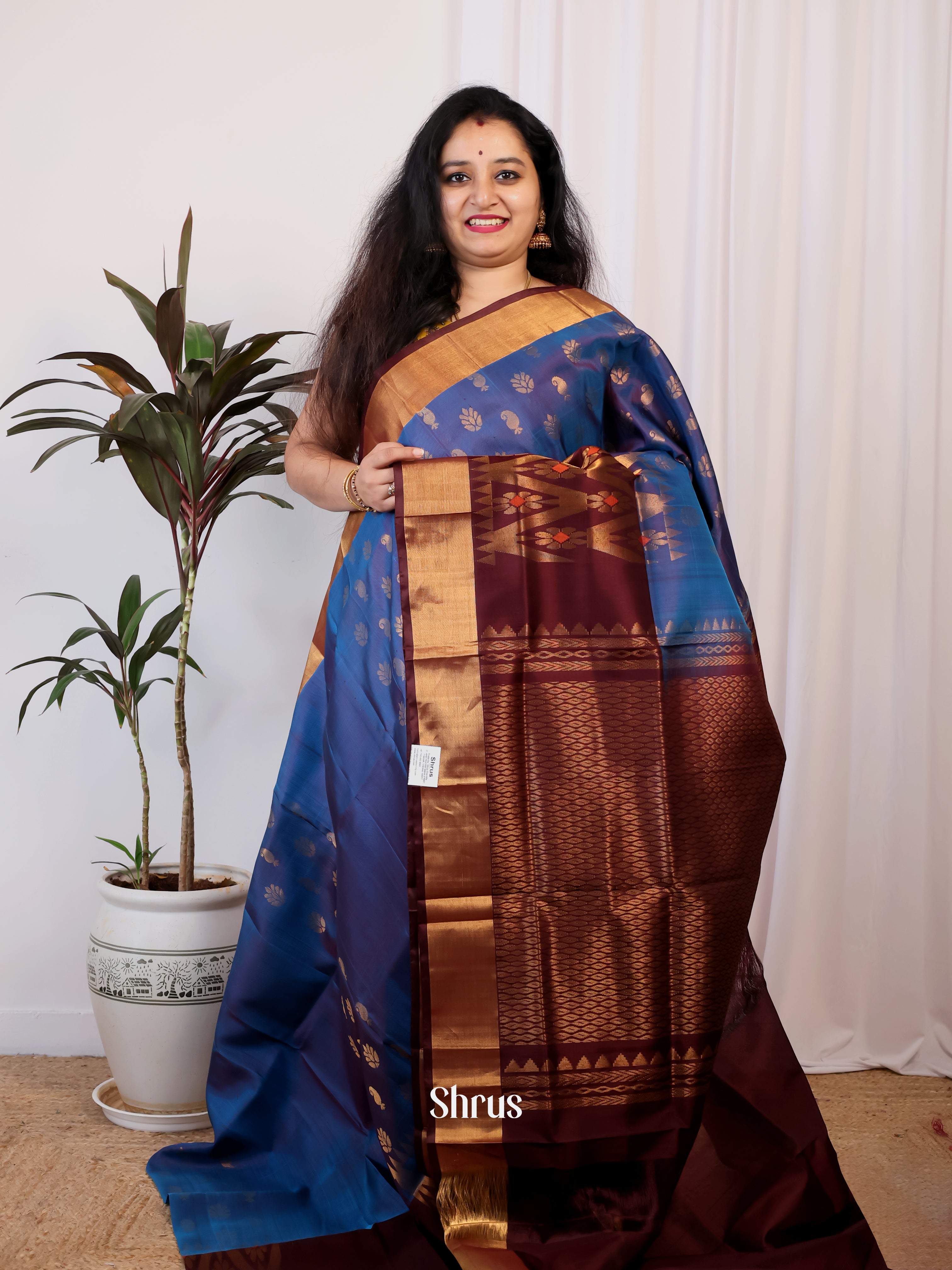 Blue & Brown - Uppada silk Saree