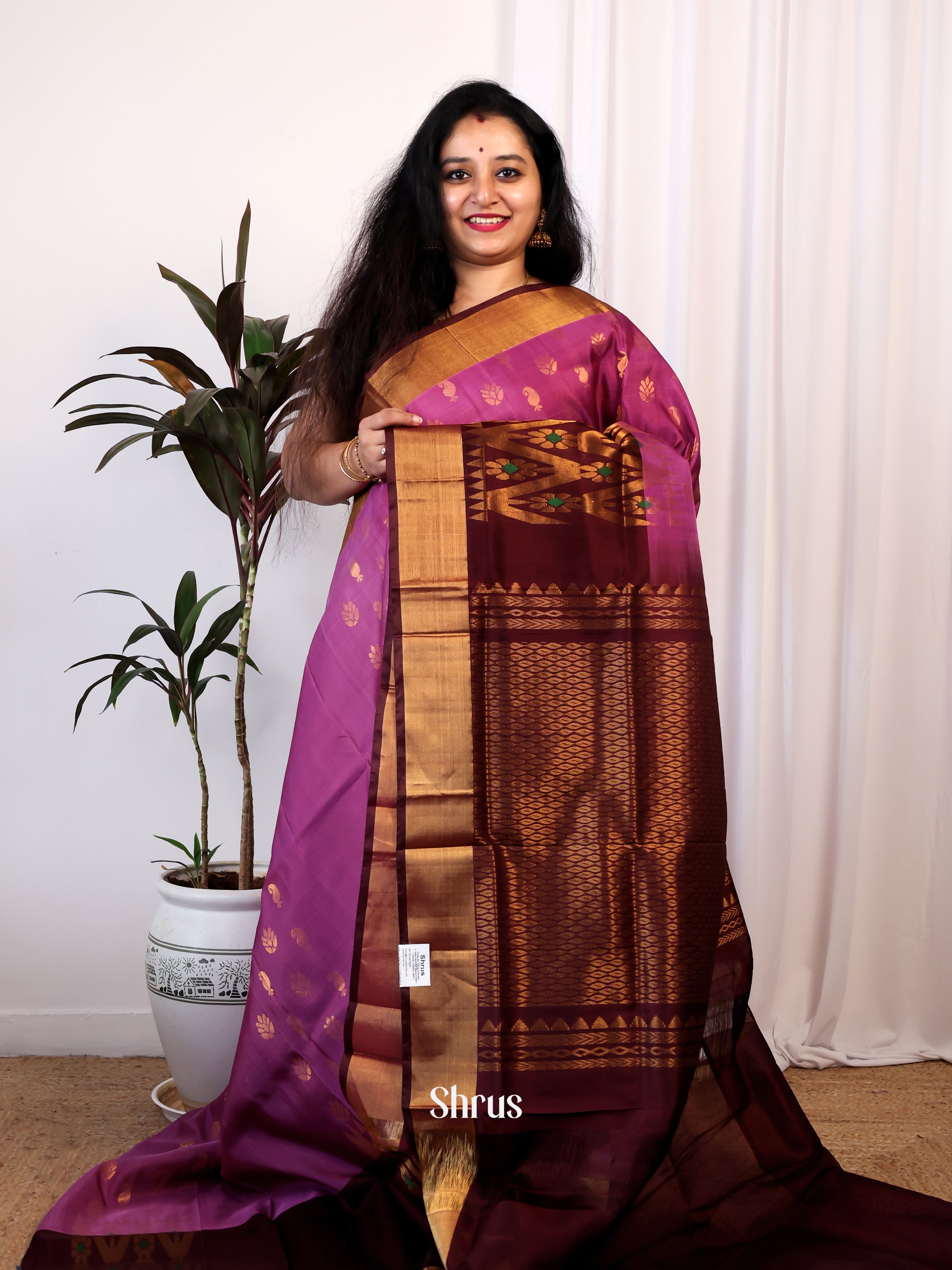 Purple & Brown - Uppada silk Saree