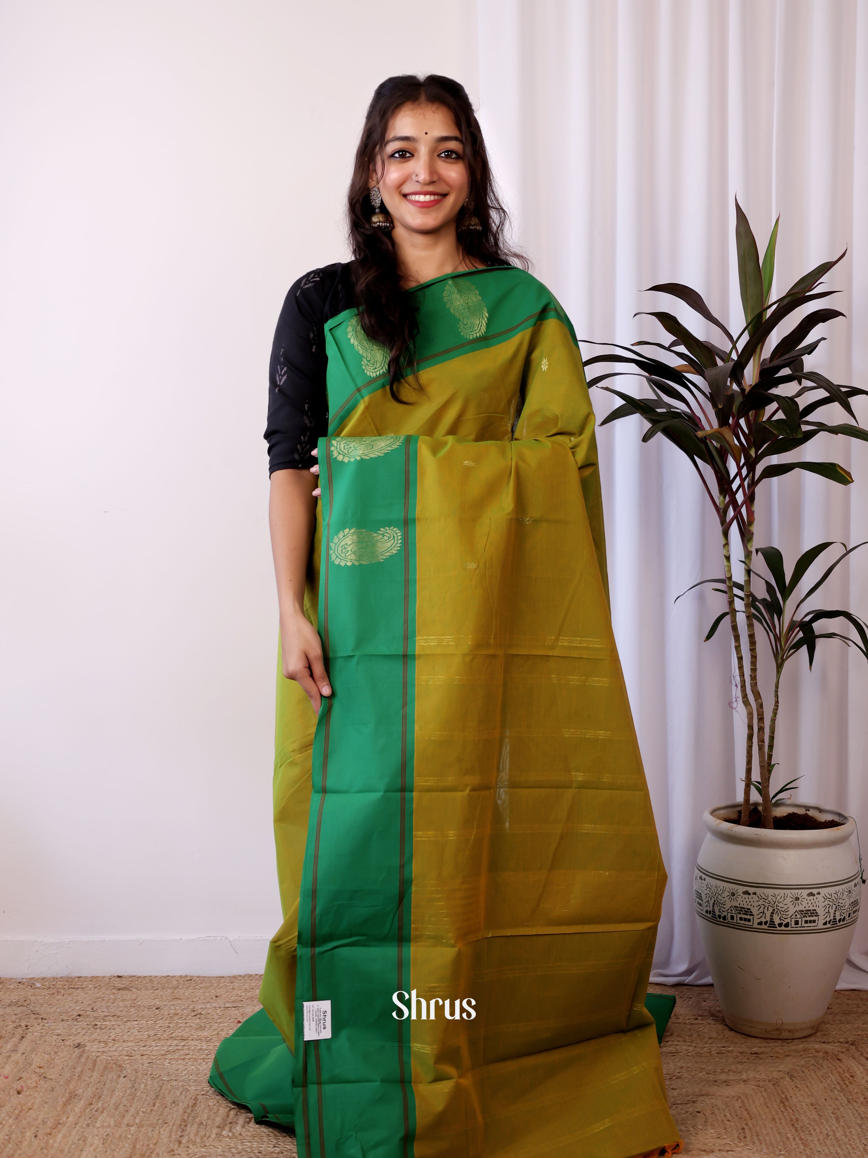 Green - Chettinad Cotton Saree