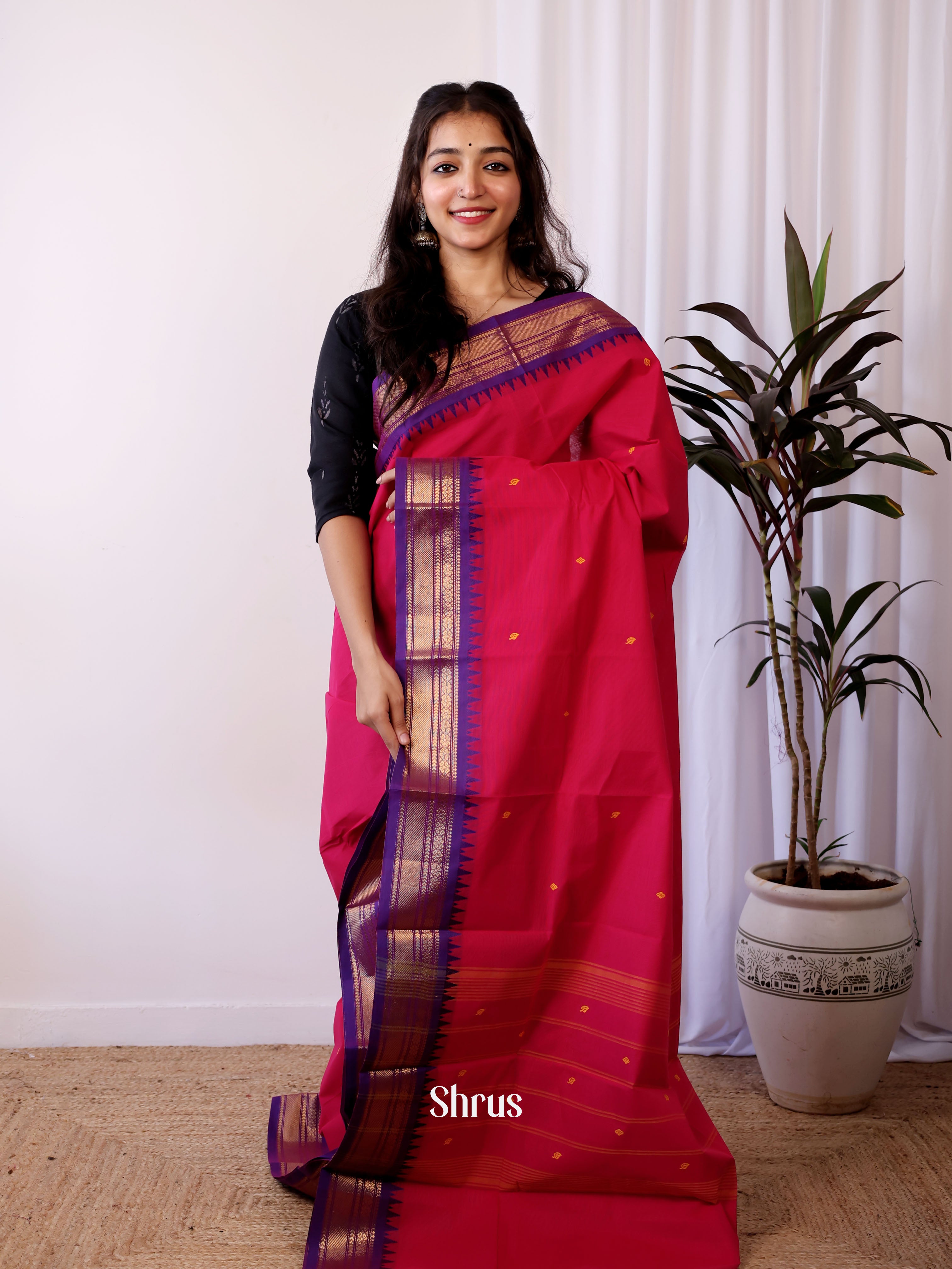 Red & Violet- Chettinad Cotton Saree