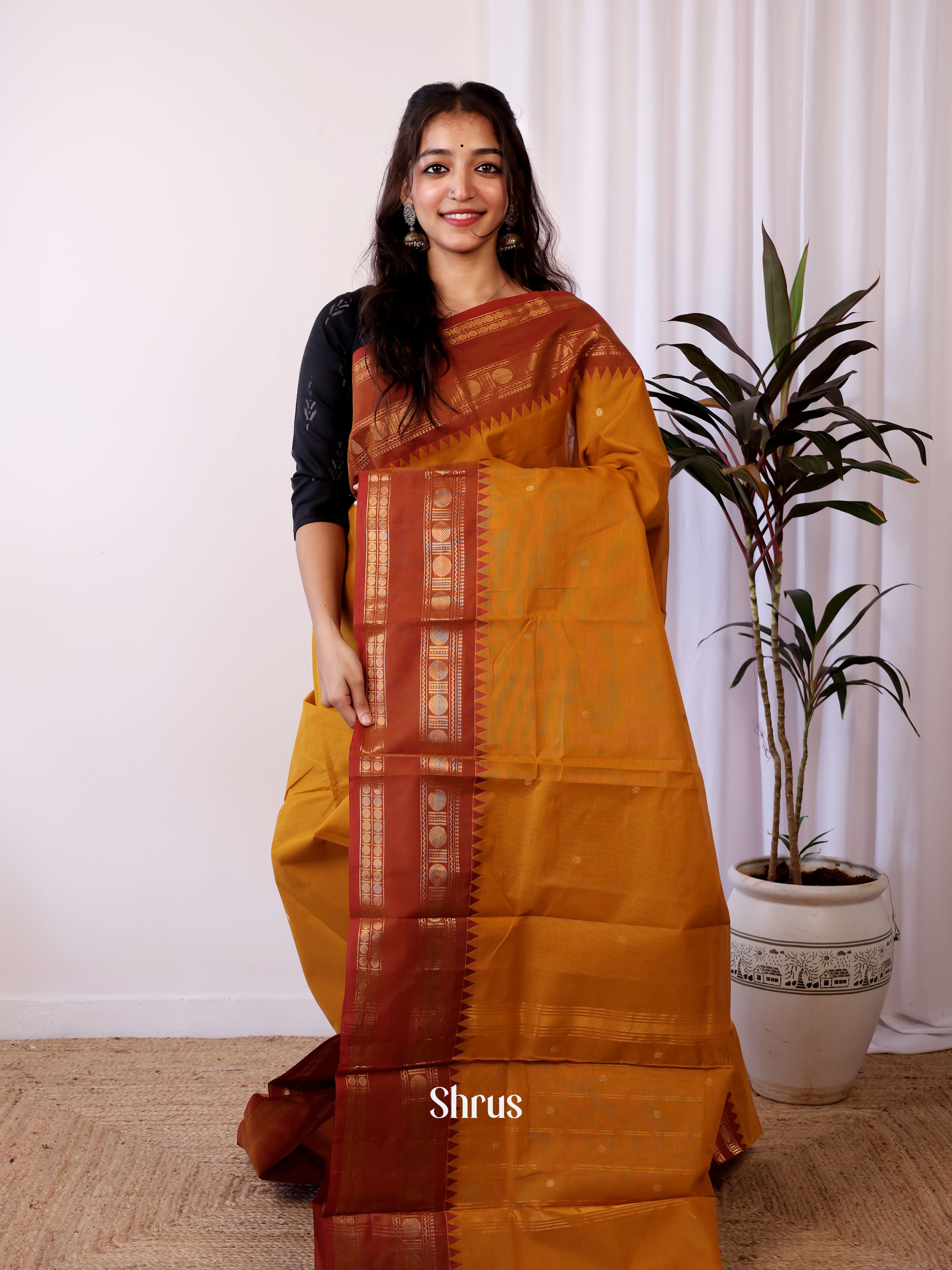 Mustard Brown & Brown - Chettinad Cotton Saree