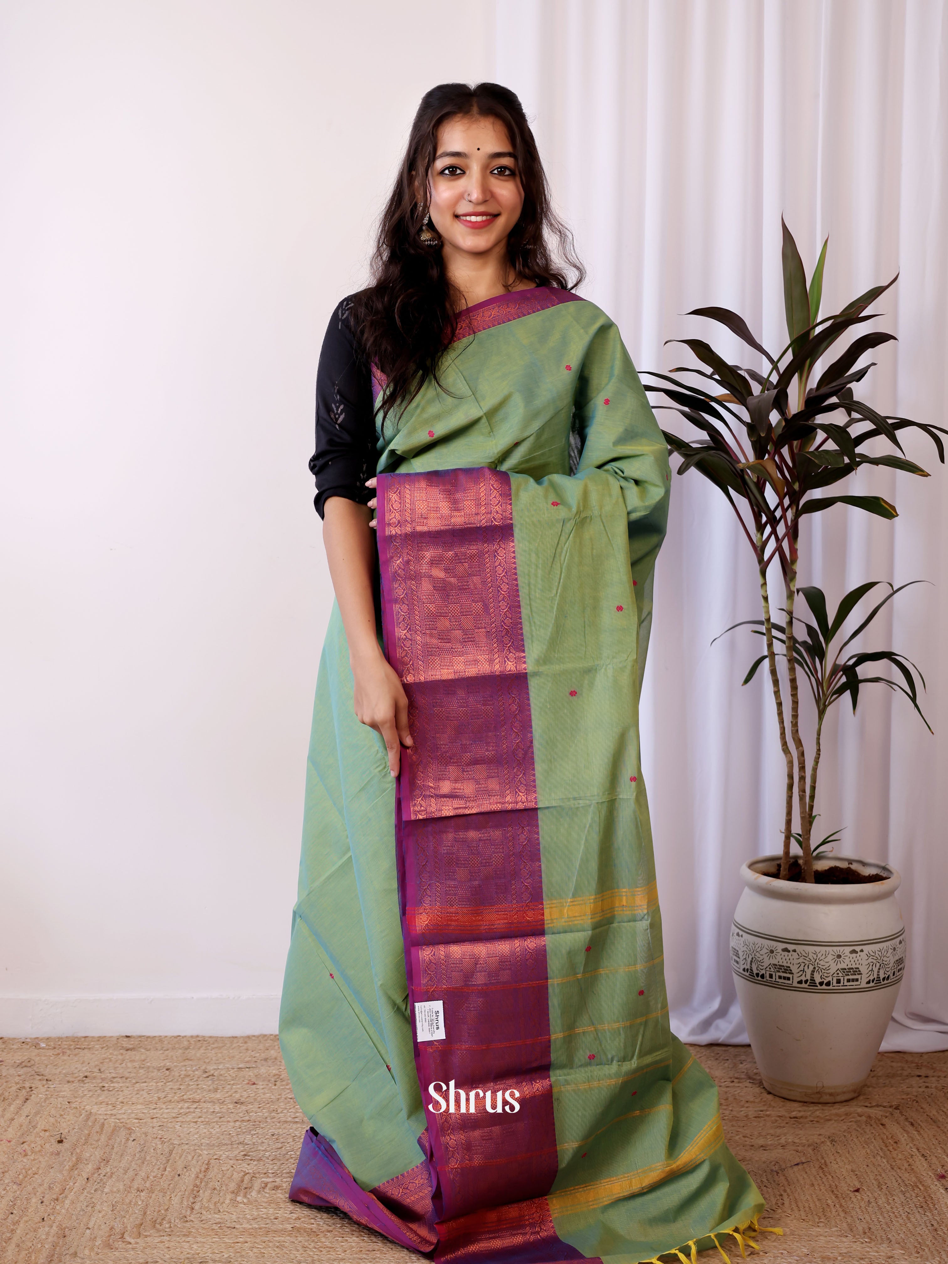 Green & Purple - Chettinad Cotton Saree