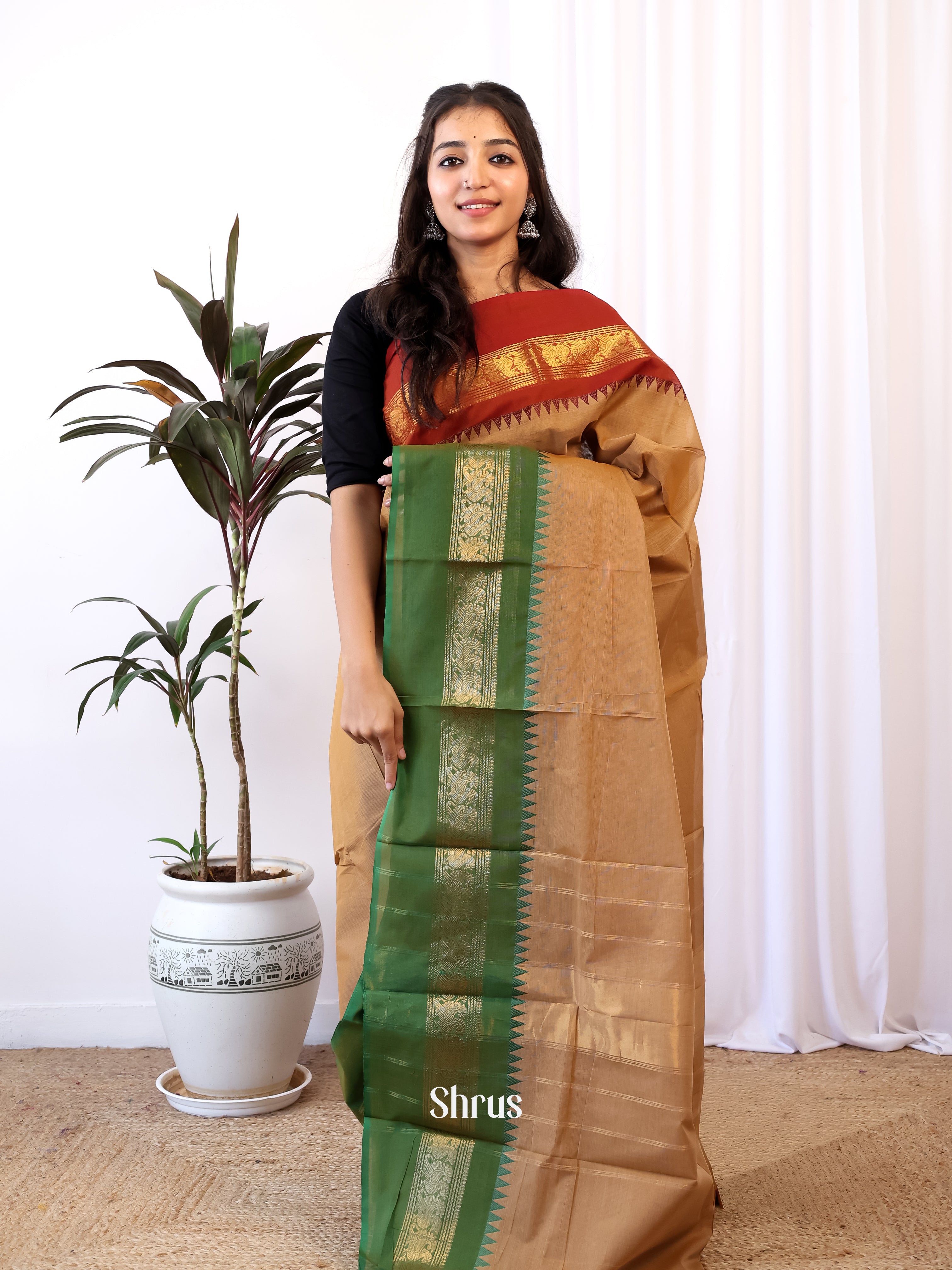 Brown & Green - Chettinad Cotton Saree