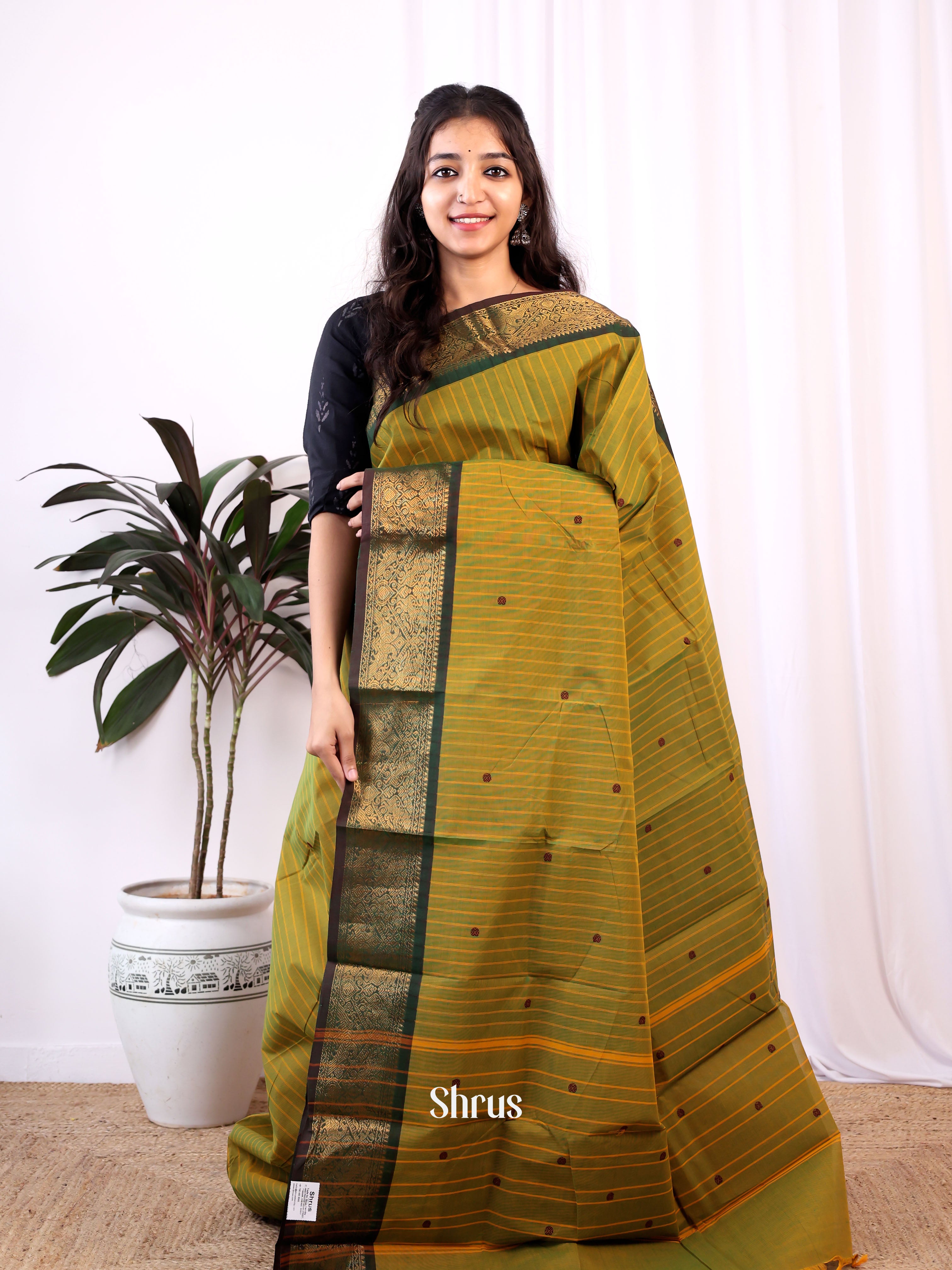 Double Shaded Green & Green - Chettinad Cotton Saree