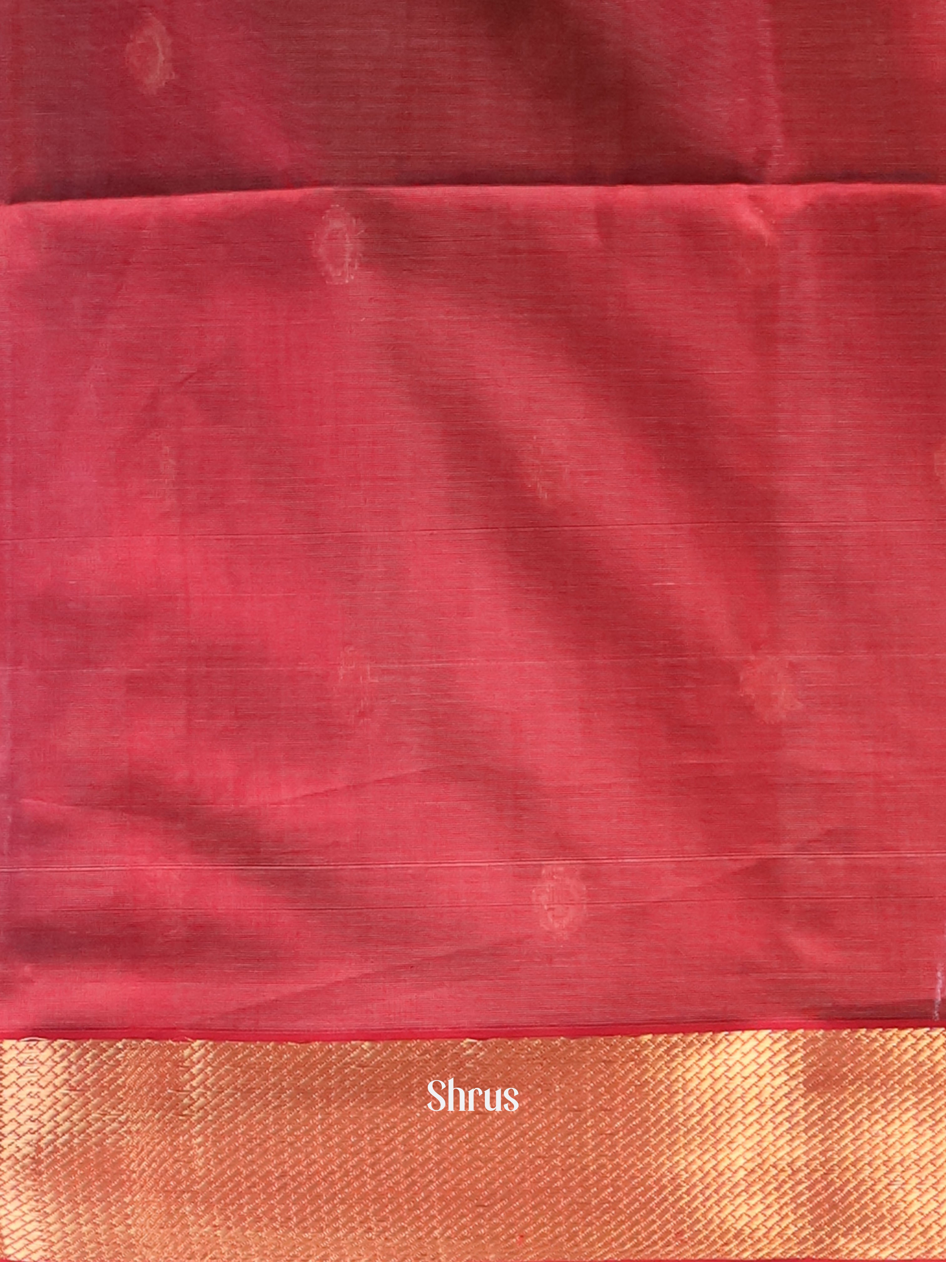 Beige & Red - Maheshwari silkcotton Saree