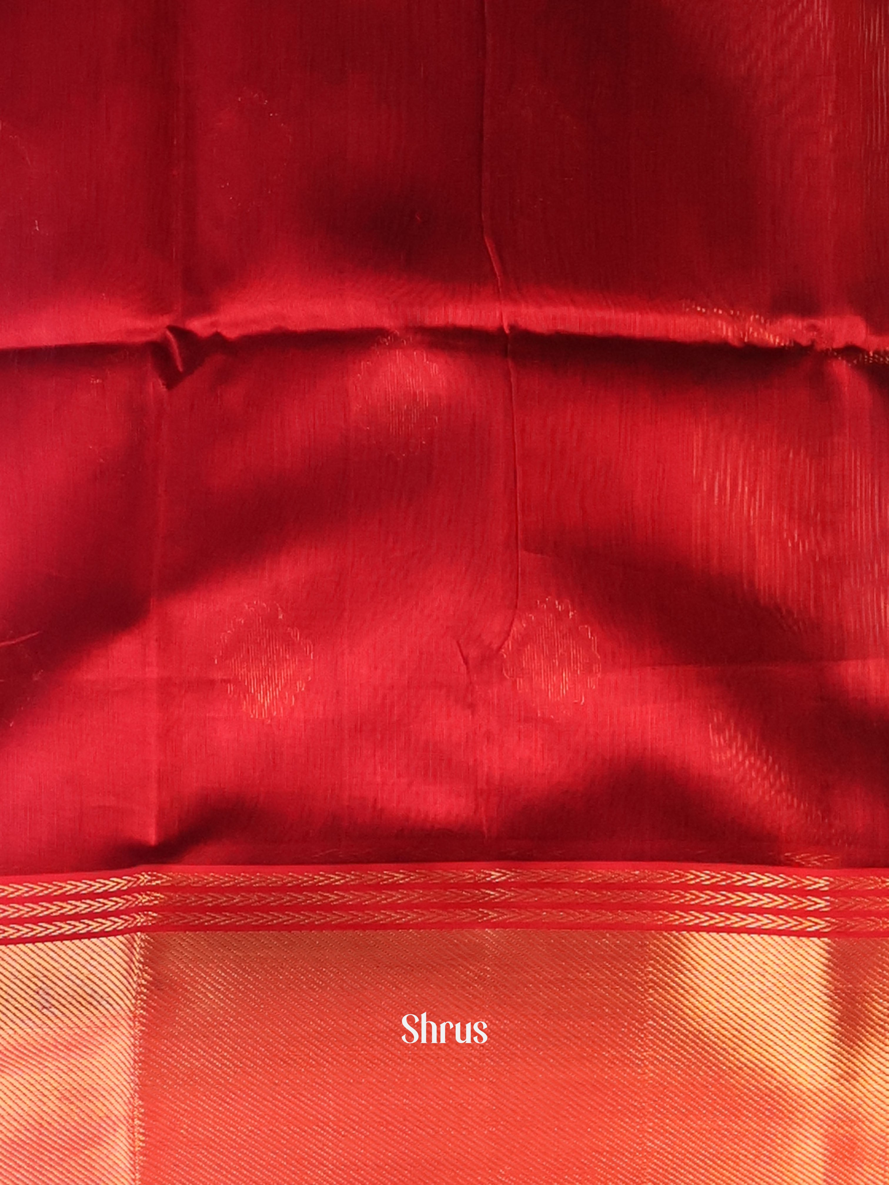 CJS05535 - Maheshwari silkcotton Saree